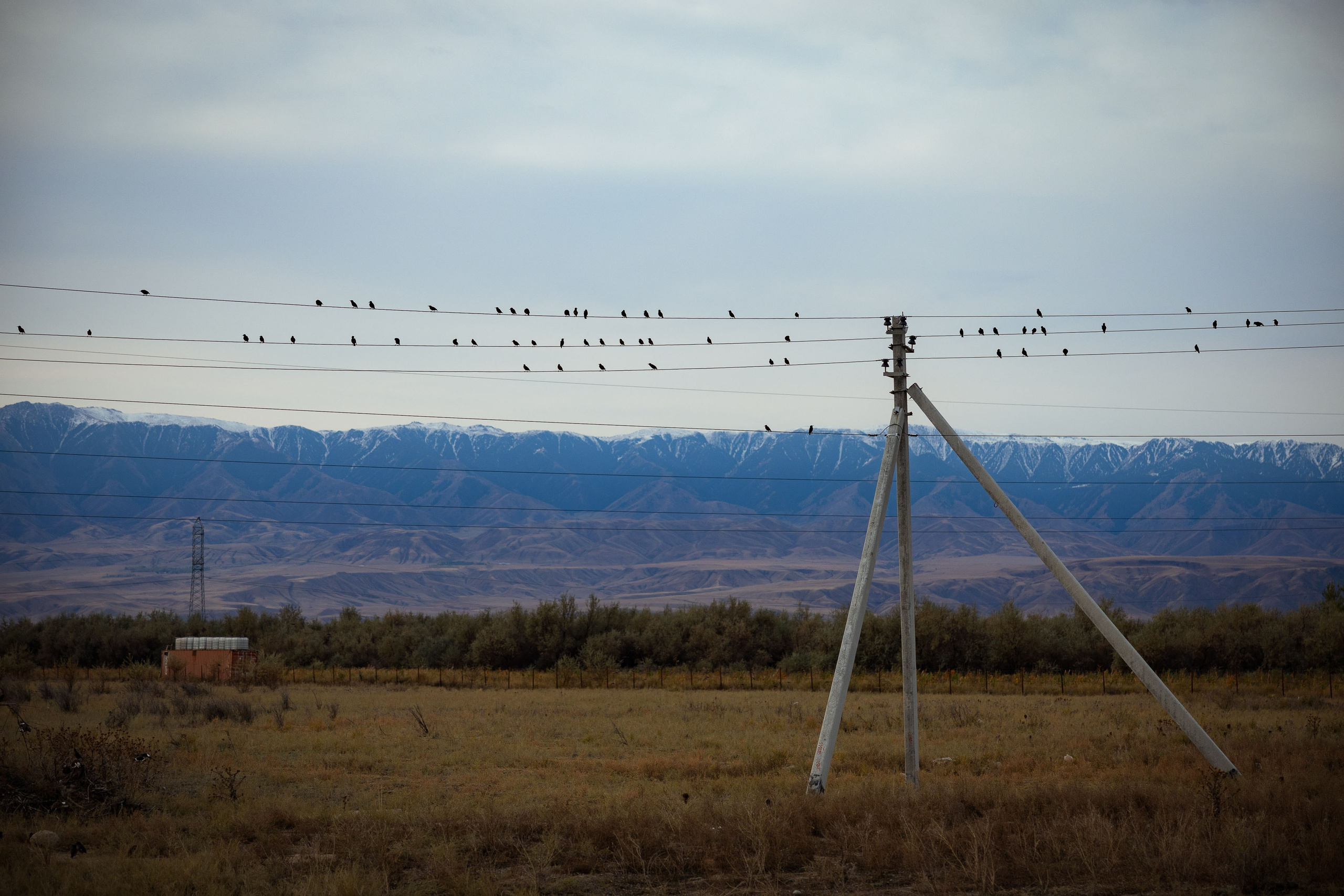 Казахстан (осень 2024). Фотограф Виноградов Константин