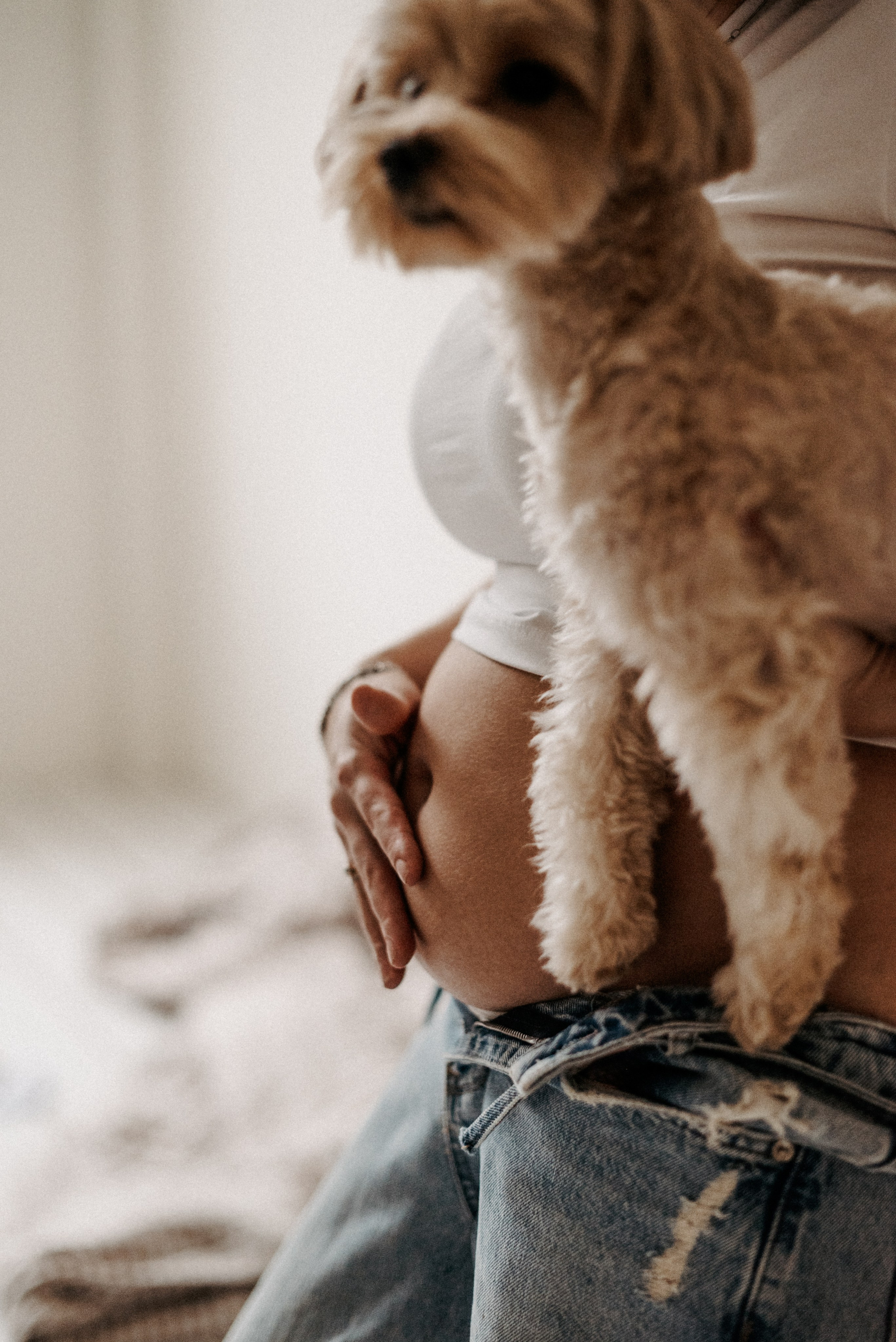 О том, как мы все ждали тебя, малышка…♥. Семейный фотограф ЕЛЕНА ШАФИГУЛИНА