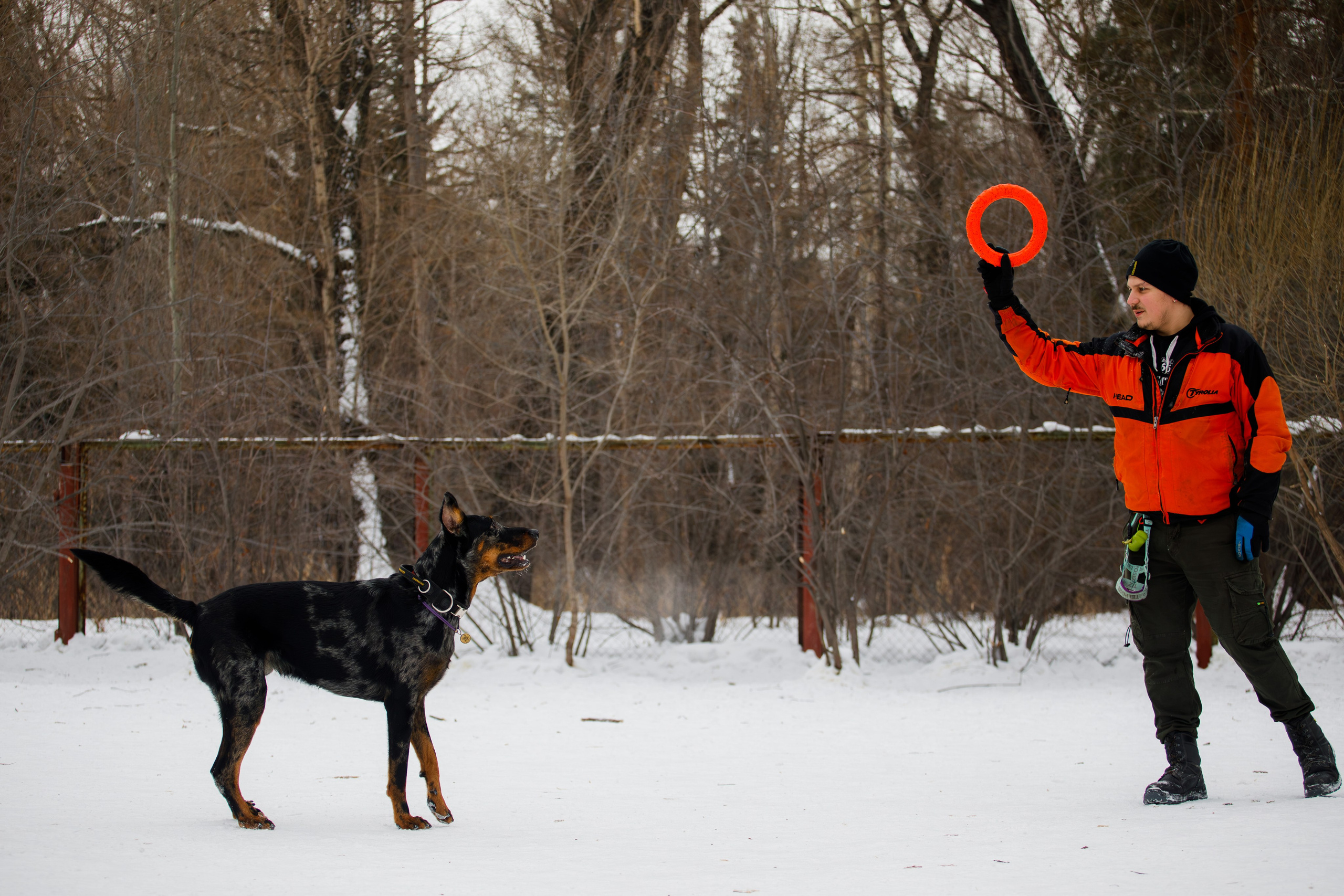 Андрей и Олимп. Фотограф Екатерина Козловская