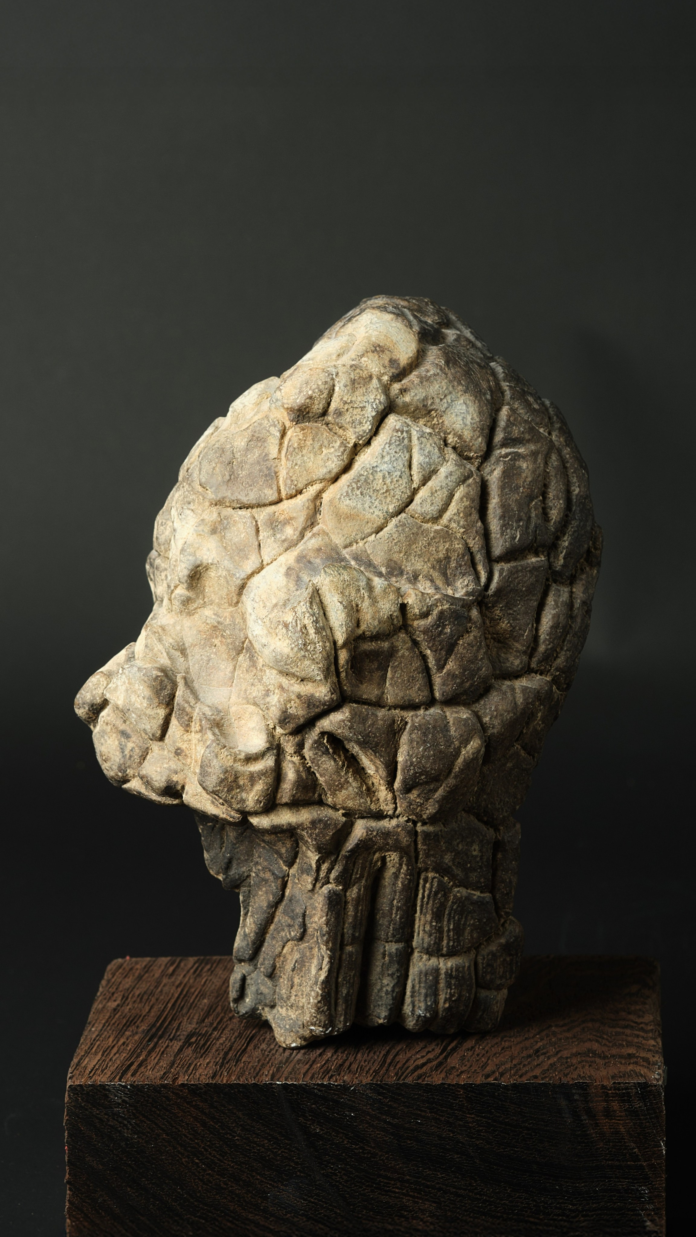 Камни. Предметный фотограф в Краснодаре