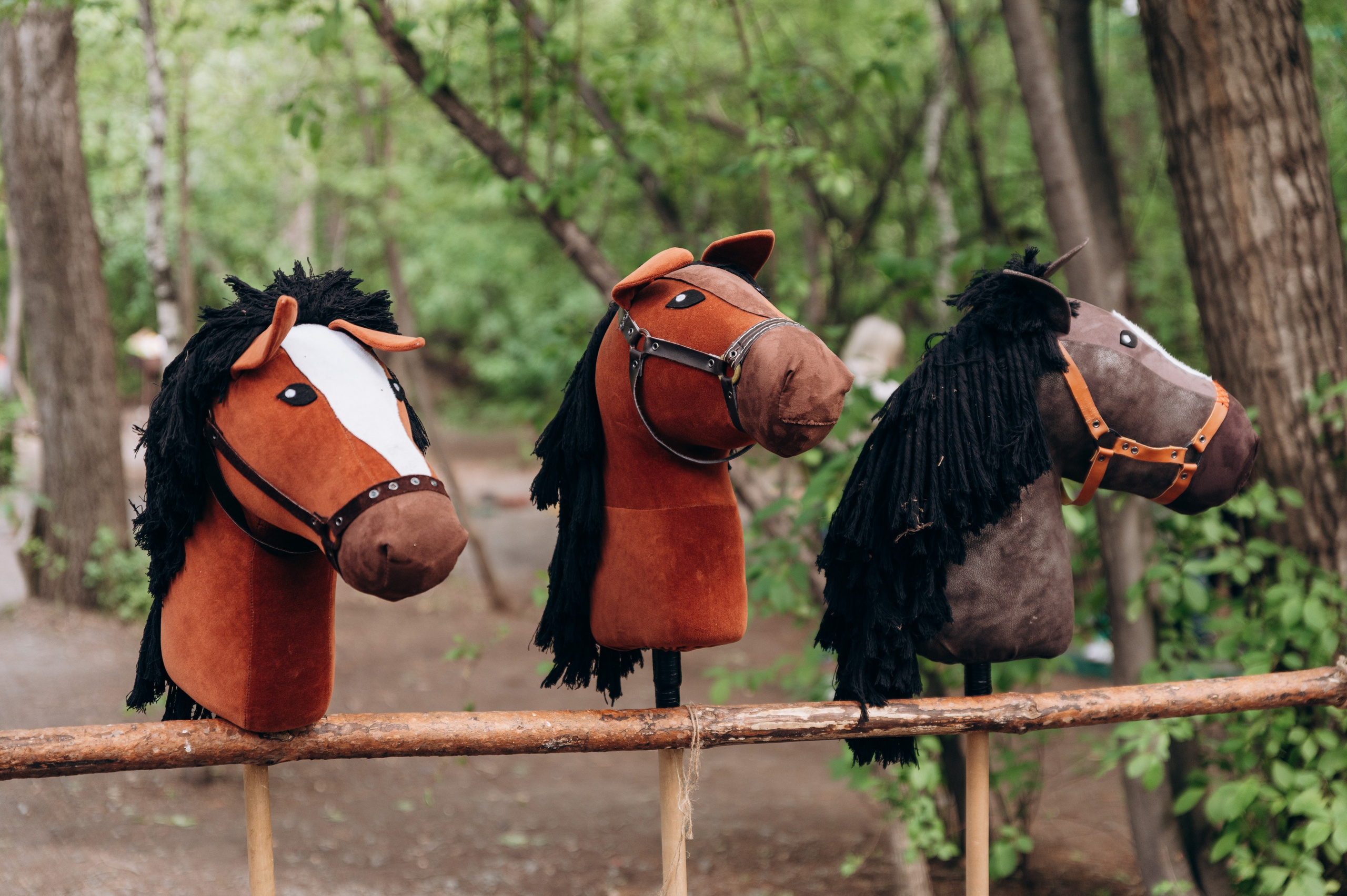 «Тайна пропавшего ожерелья». Фотограф в Новосибирске