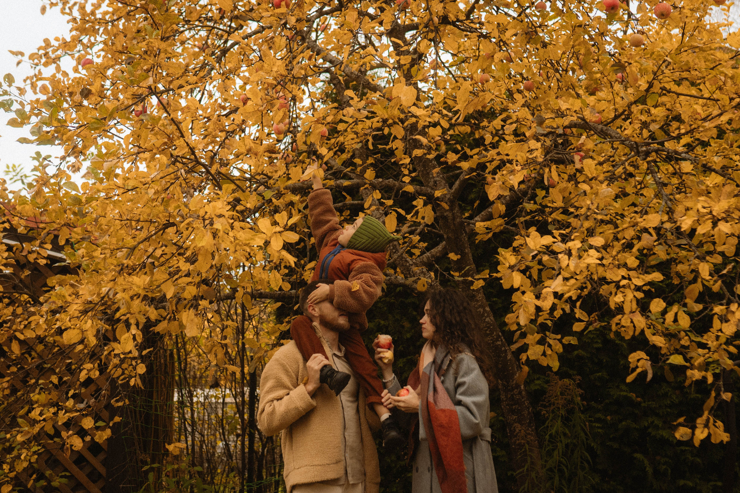 Карина, Миша, Оливер. Семейный фотограф Юлия Котова