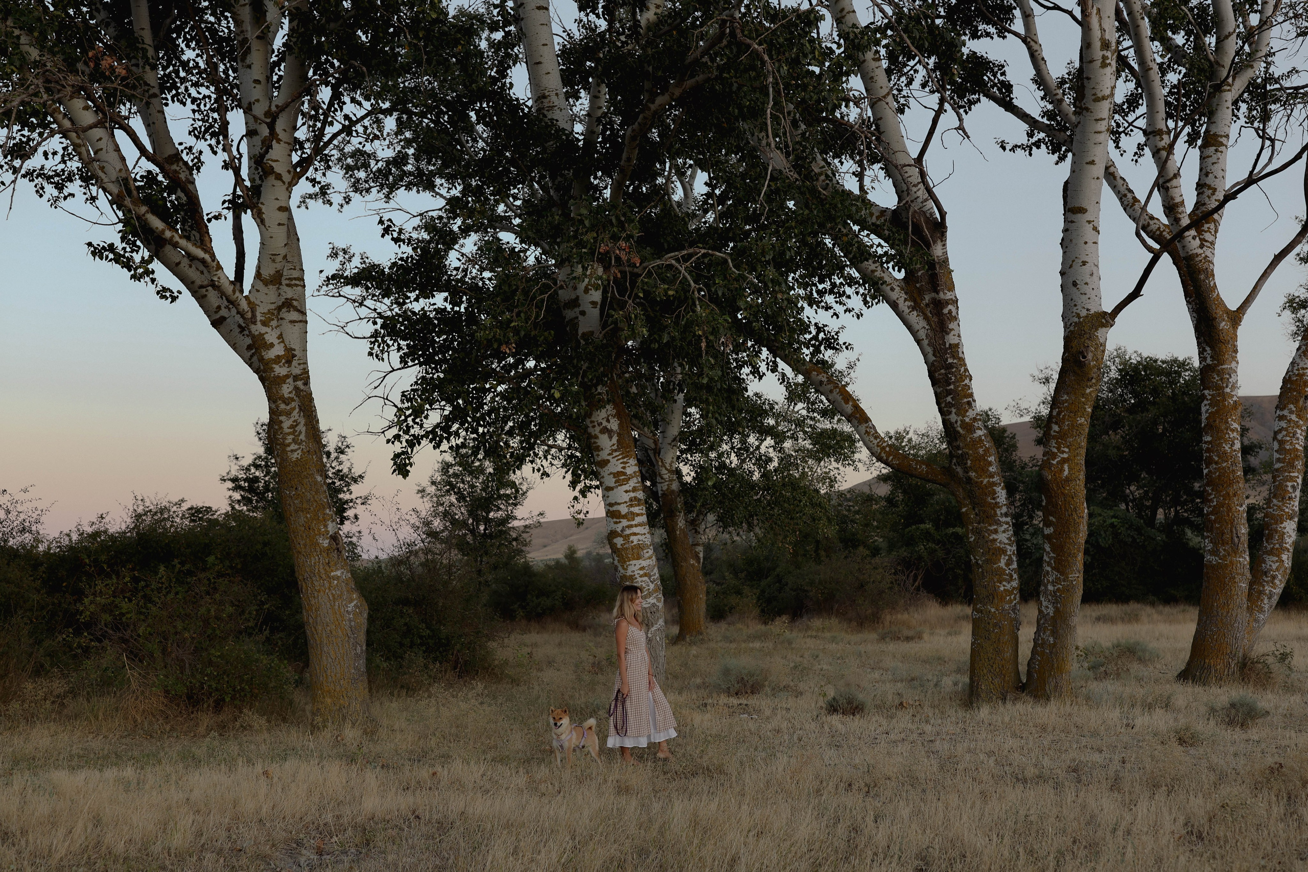 Один день из жизни Пуси. Свадебный и семейный фотограф Судак, Крым, Симферополь, Феодосия, Коктебель и по России