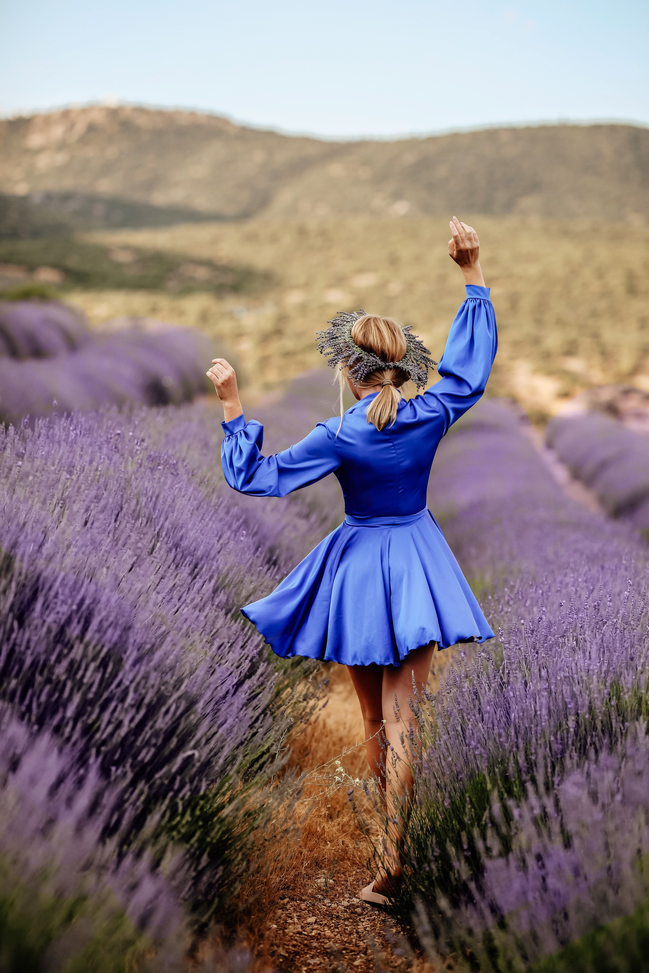 Lavender fields in Turkey