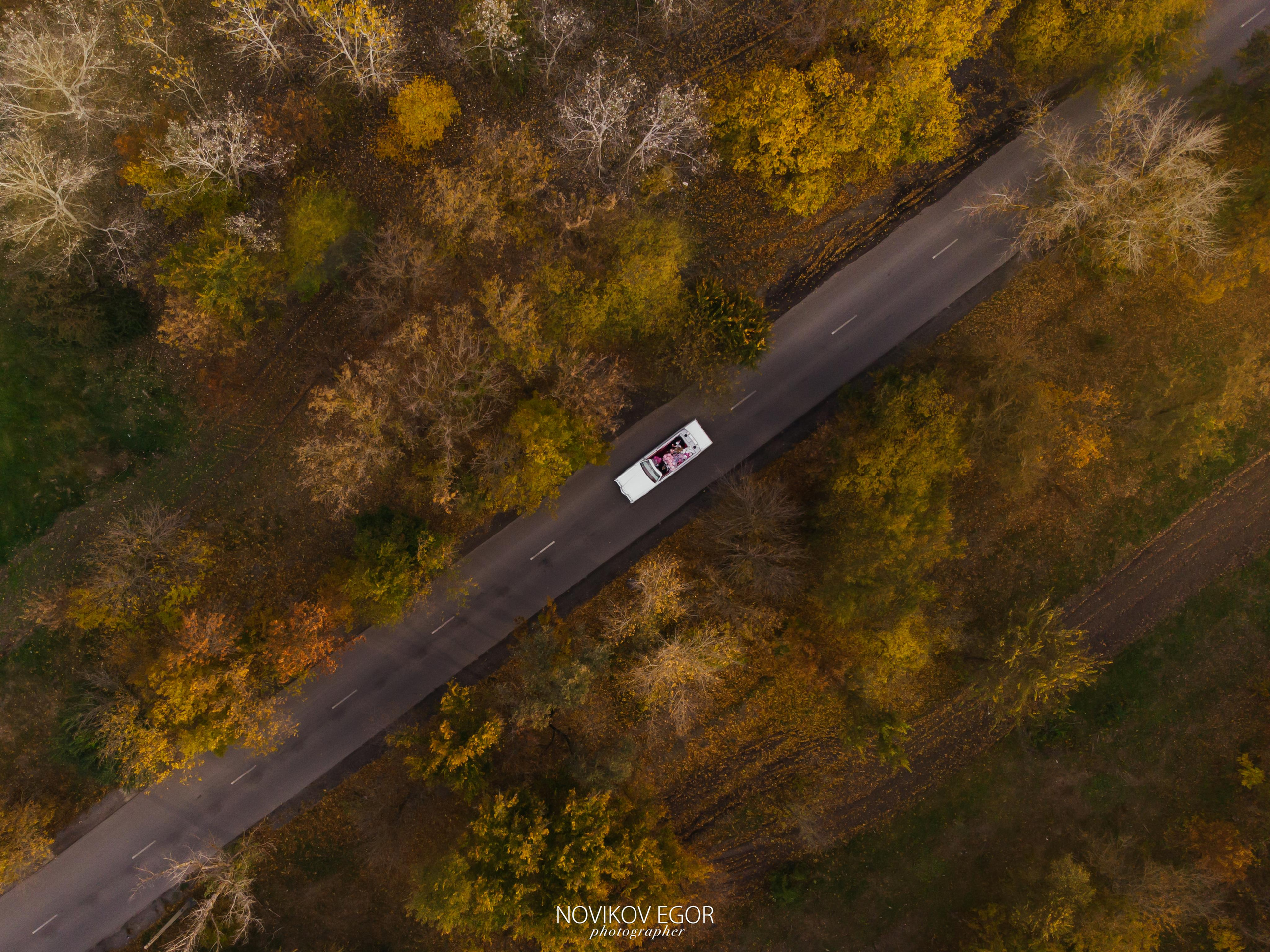 Илья&Ира X TheFirst Event. Фотограф Ростов-на-Дону