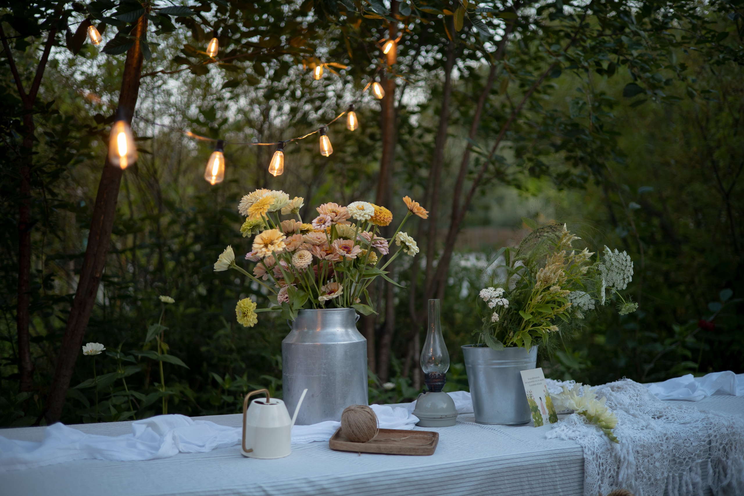 ДИНИЯ. Фотограф Элла Ефимова