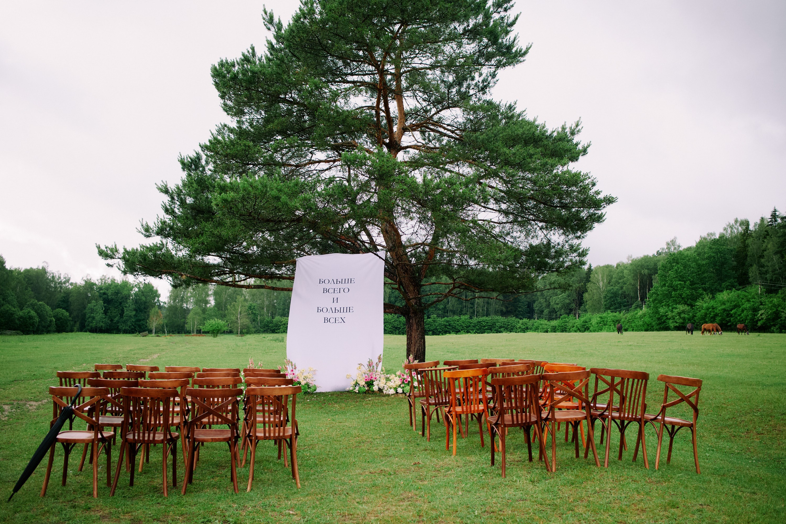 Вечеринка Маши и Влада. Ведущий Москва Мацак Стас