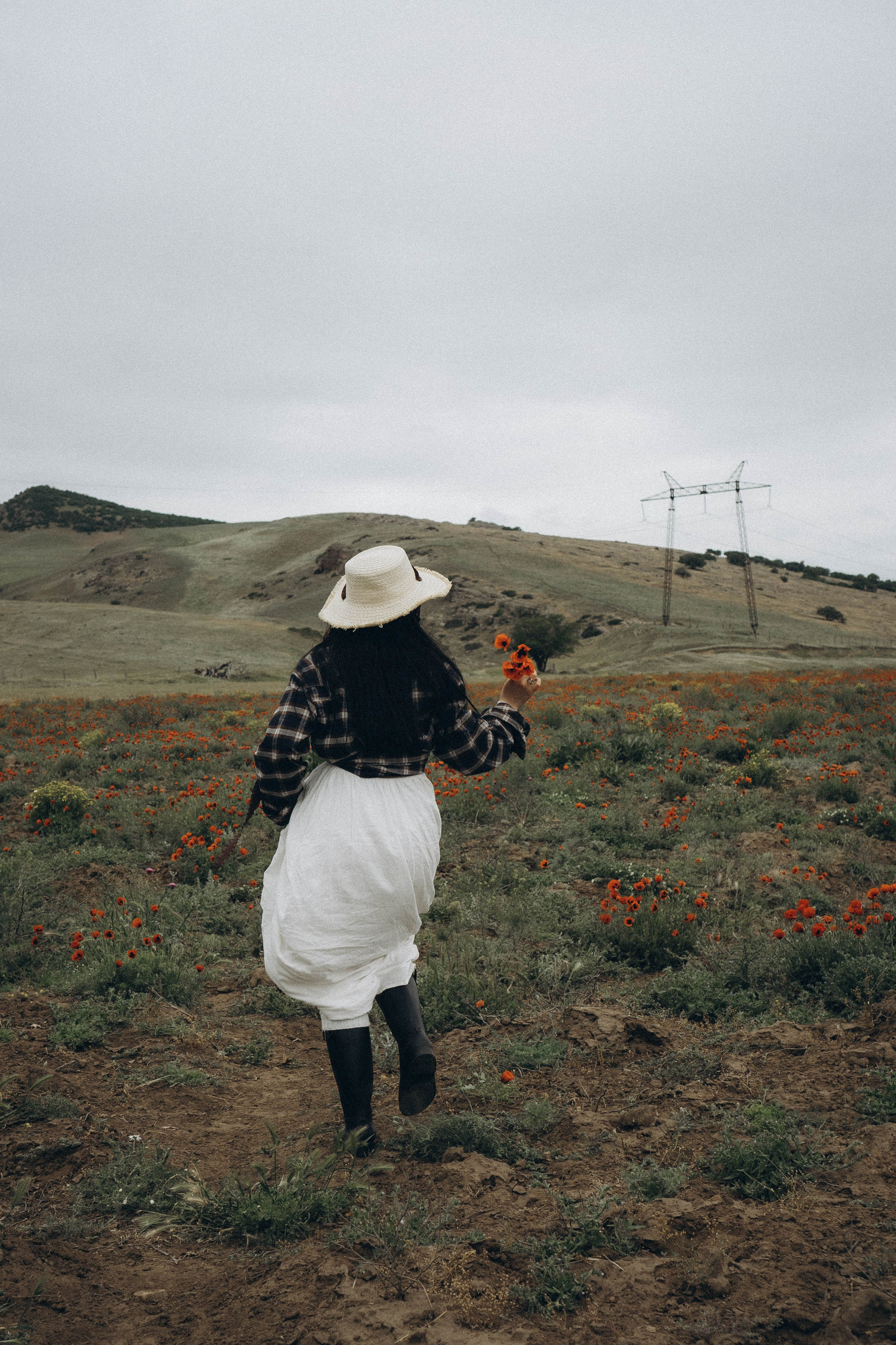 Маковое поле. Профессиональный фотограф, Санкт-Петербург — Виктория Богомолова