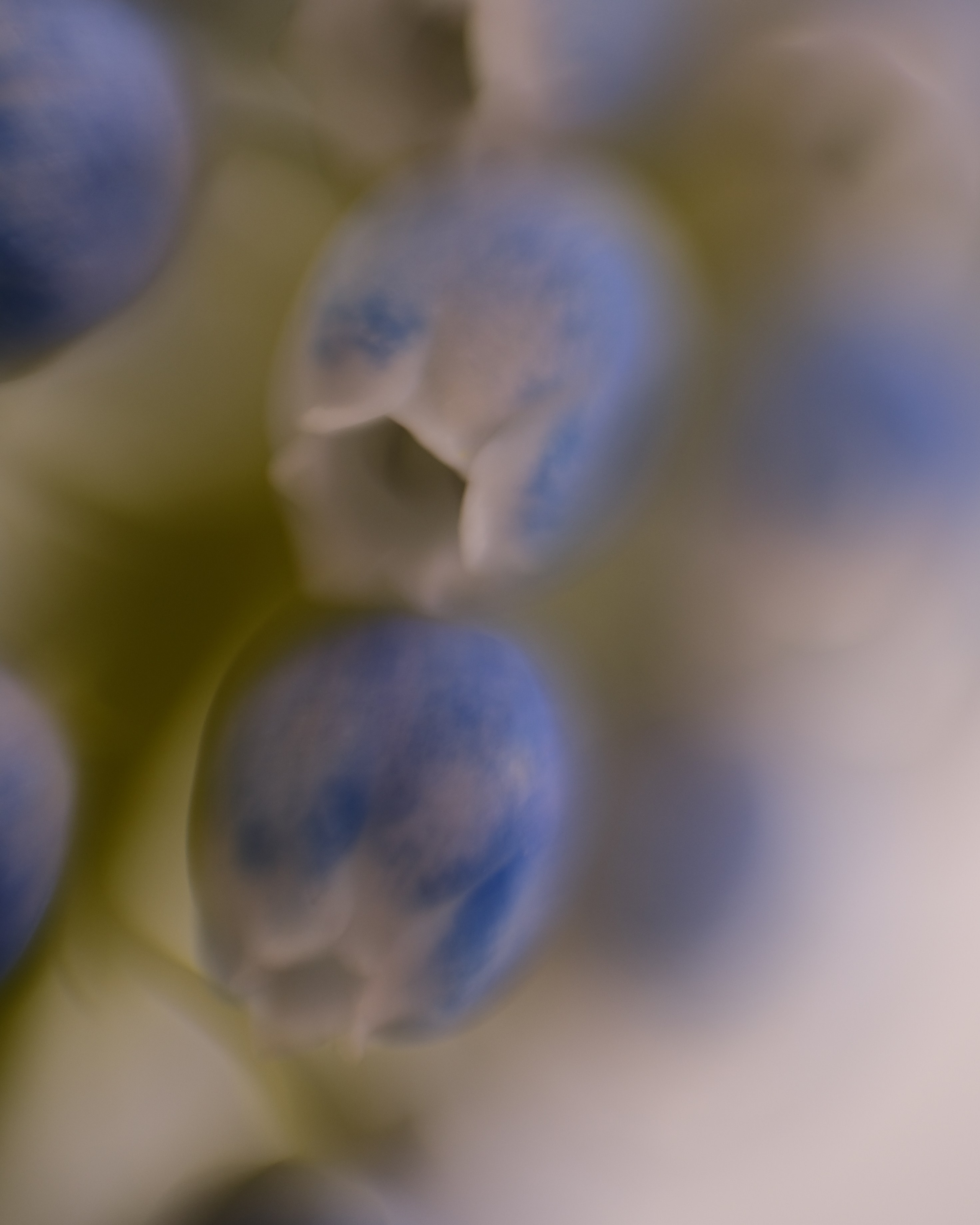 Творчество. Портретный и репортажный фотограф в Санкт-Петербурге Дарья Сибирякова