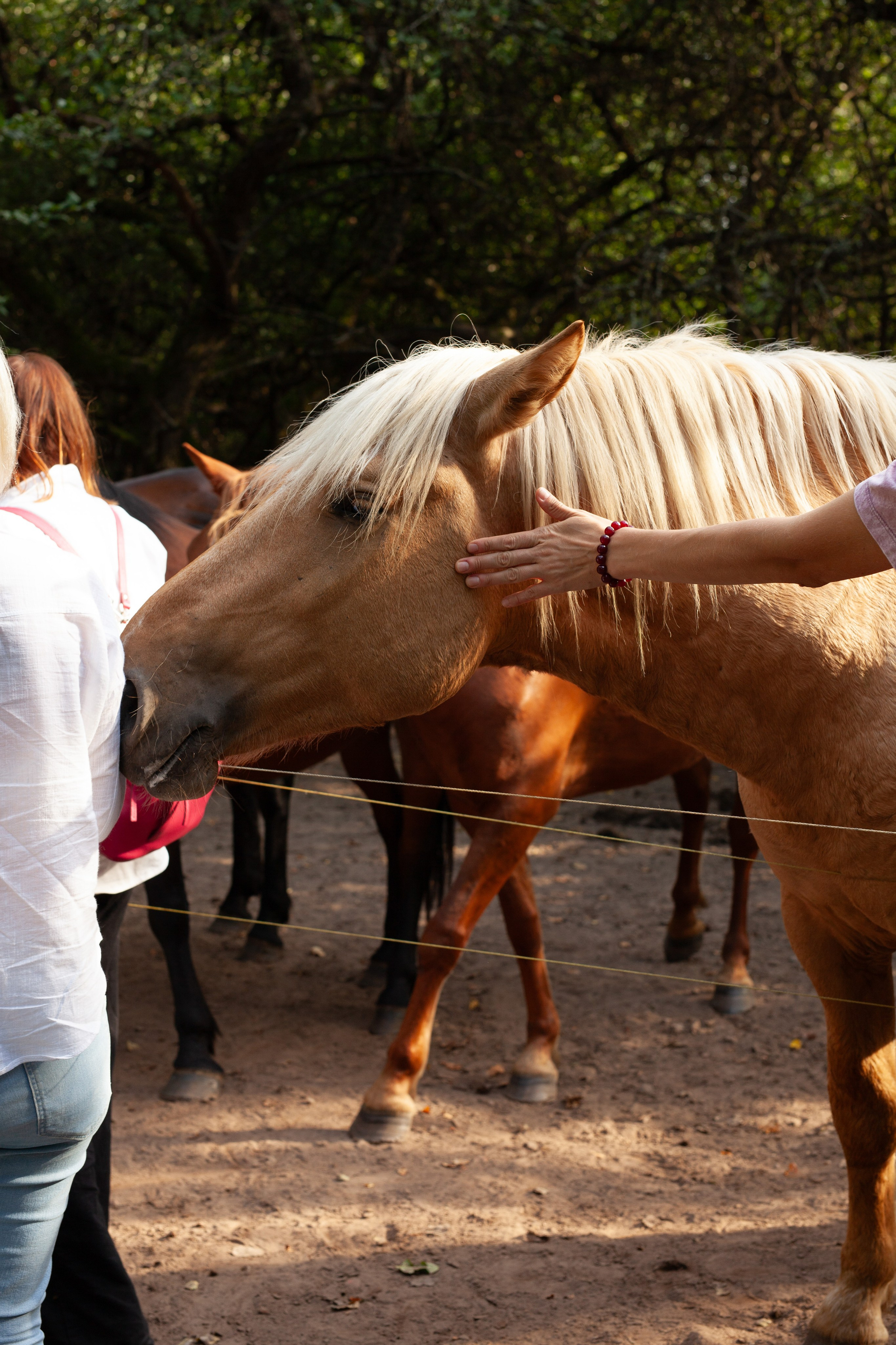 Репортаж для «Райского сада». Портретный и семейный фотограф в Минске