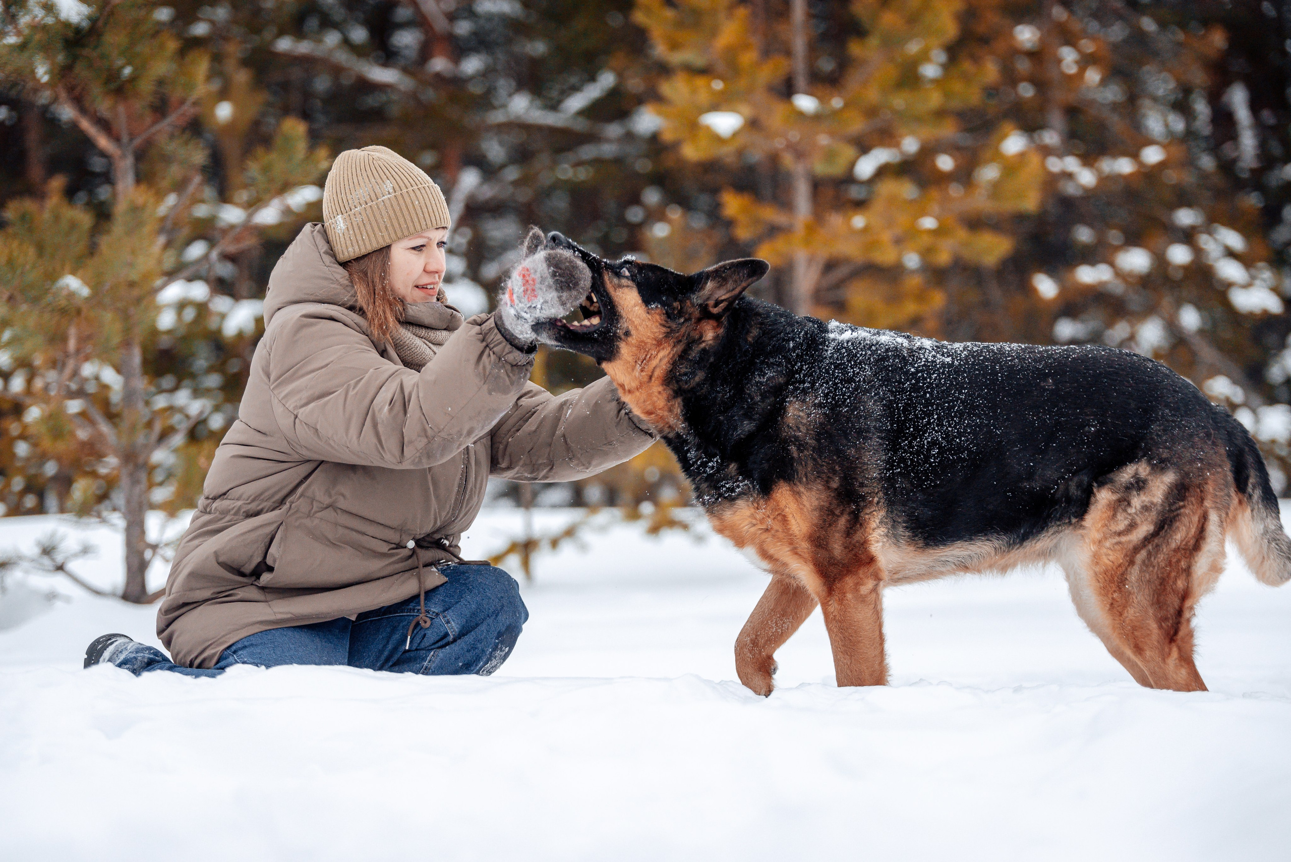 Светлана, Альфа и кошки ✨. Фотограф-анималист Анастасия Парфенова|Екатеринбург