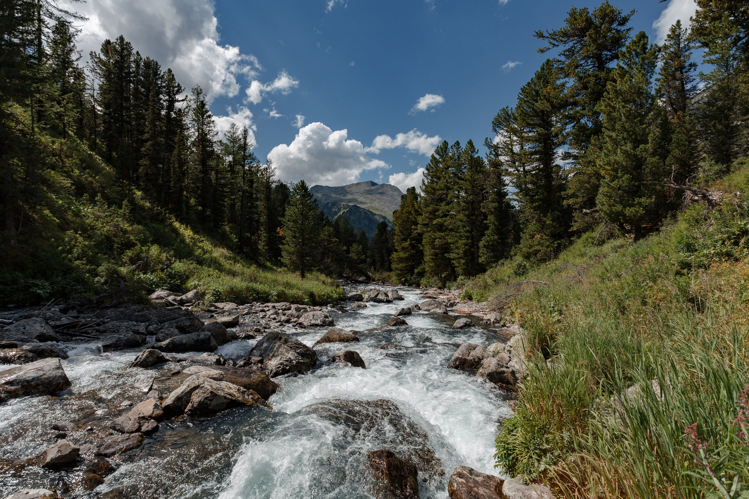 Катунский заповедник, Республика Алтай. Репортажный фотограф в Крыму Ксения Гасица