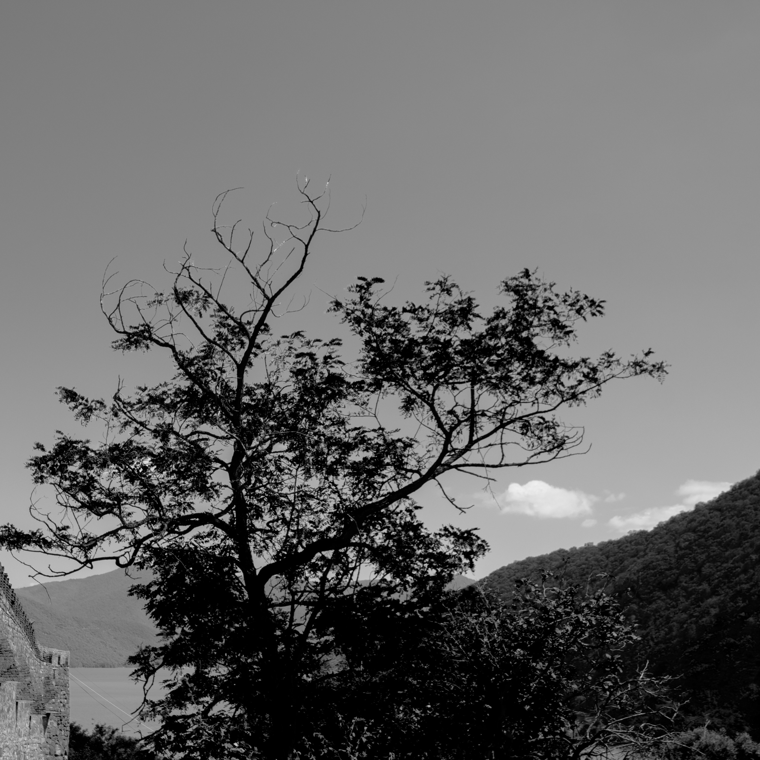 Тбилиси, 2024. Портретный фотограф в Москве Евгения Яковенко