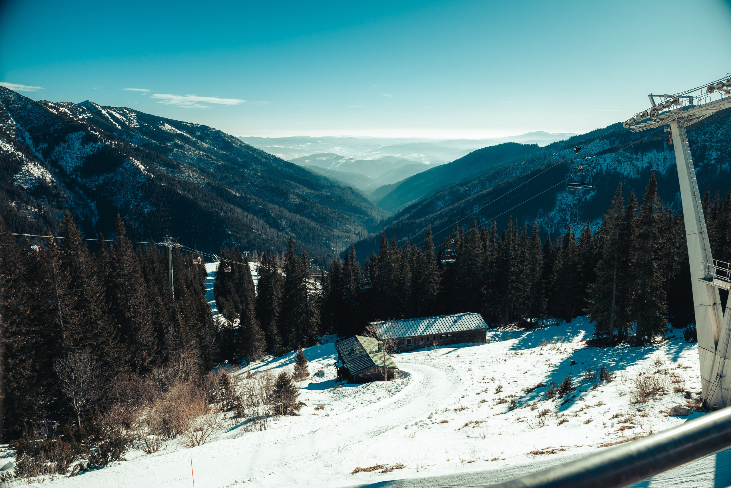 Лыжи 2025. Фотограф Владислав Воронович