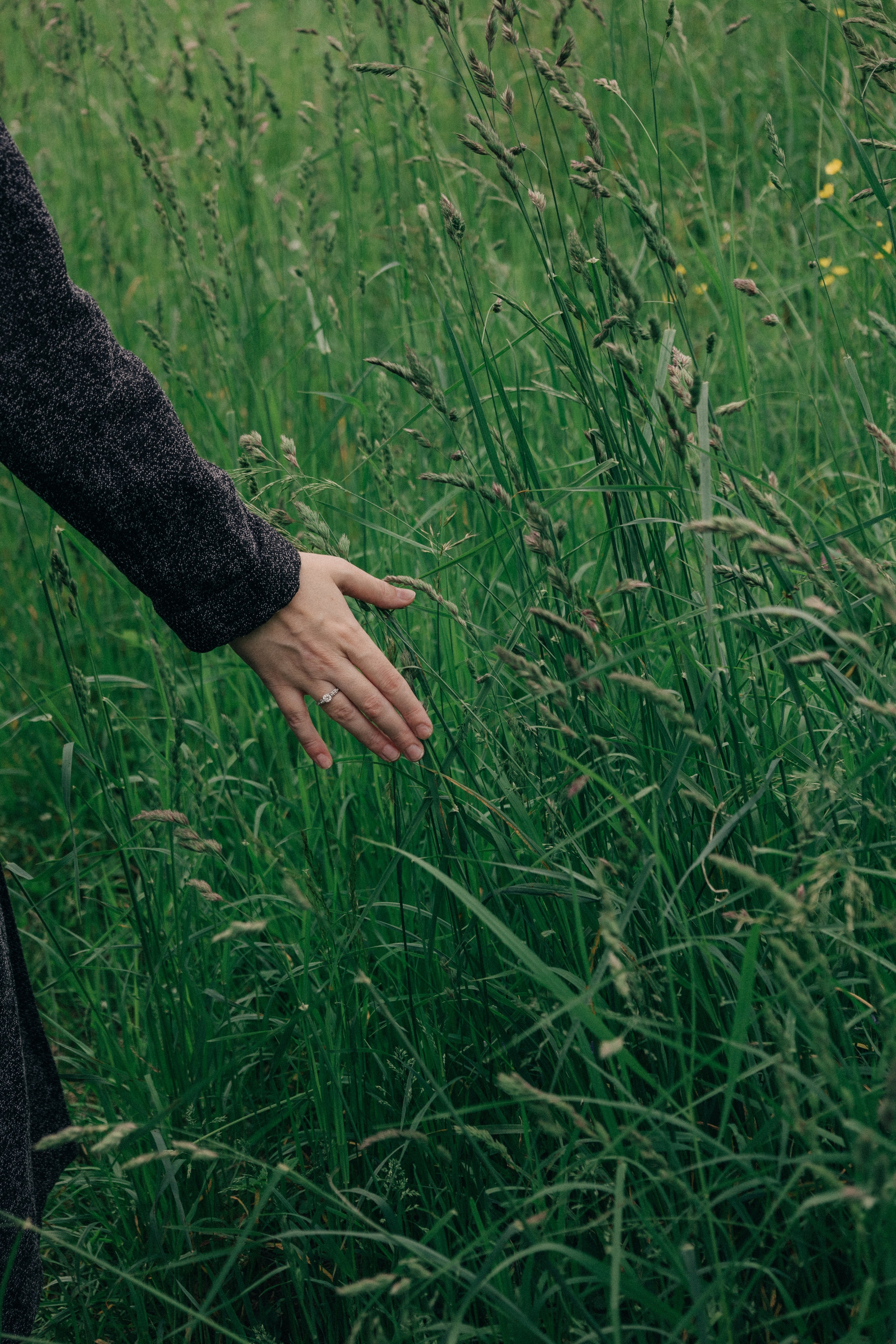 История любви Игоря и Мирославы в Павловском парке. Профессиональный фотограф в Санкт-Петербурге Александр Волосенцев