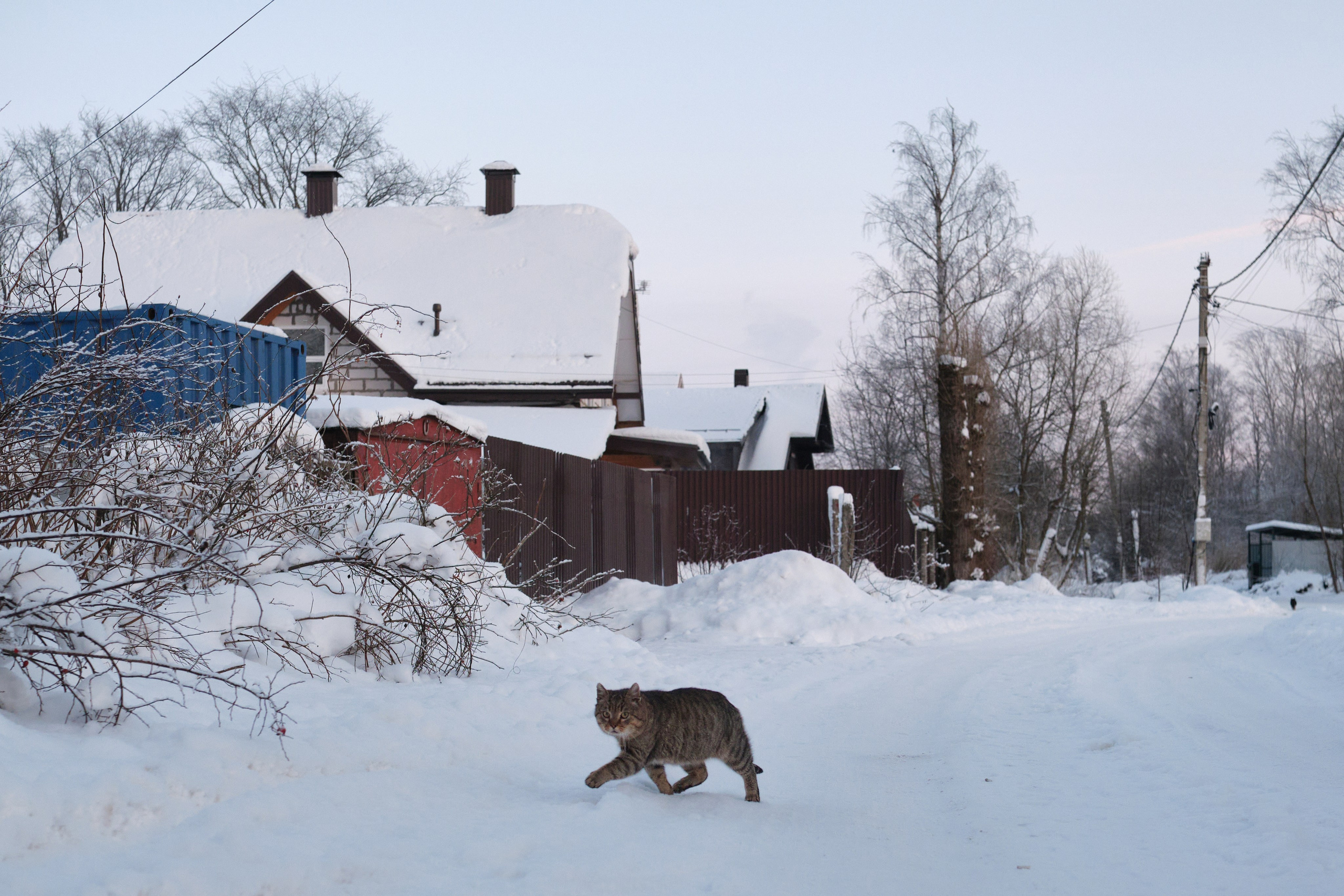 Фотографии Шлиссельбурга | Филипп Линзин. Репортажный и портретный фотограф в Санкт-Петербурге Филипп Линзин