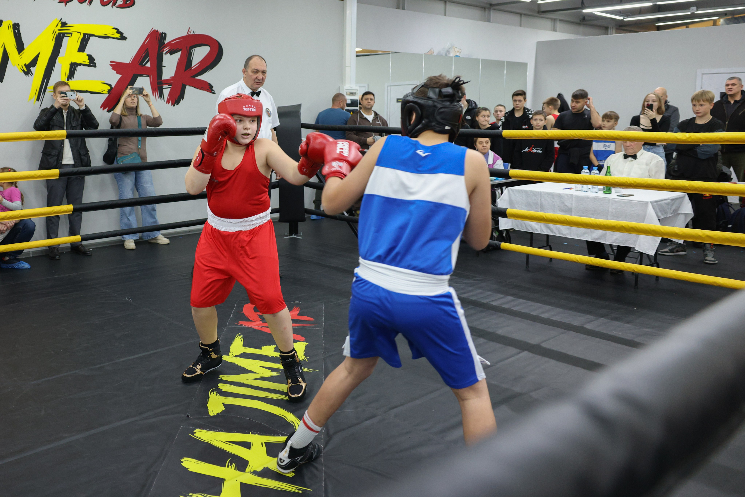 Открытый ринг «кубок ООО «ТЭК НеваСпецТяж». Фотограф Александр Заломаев