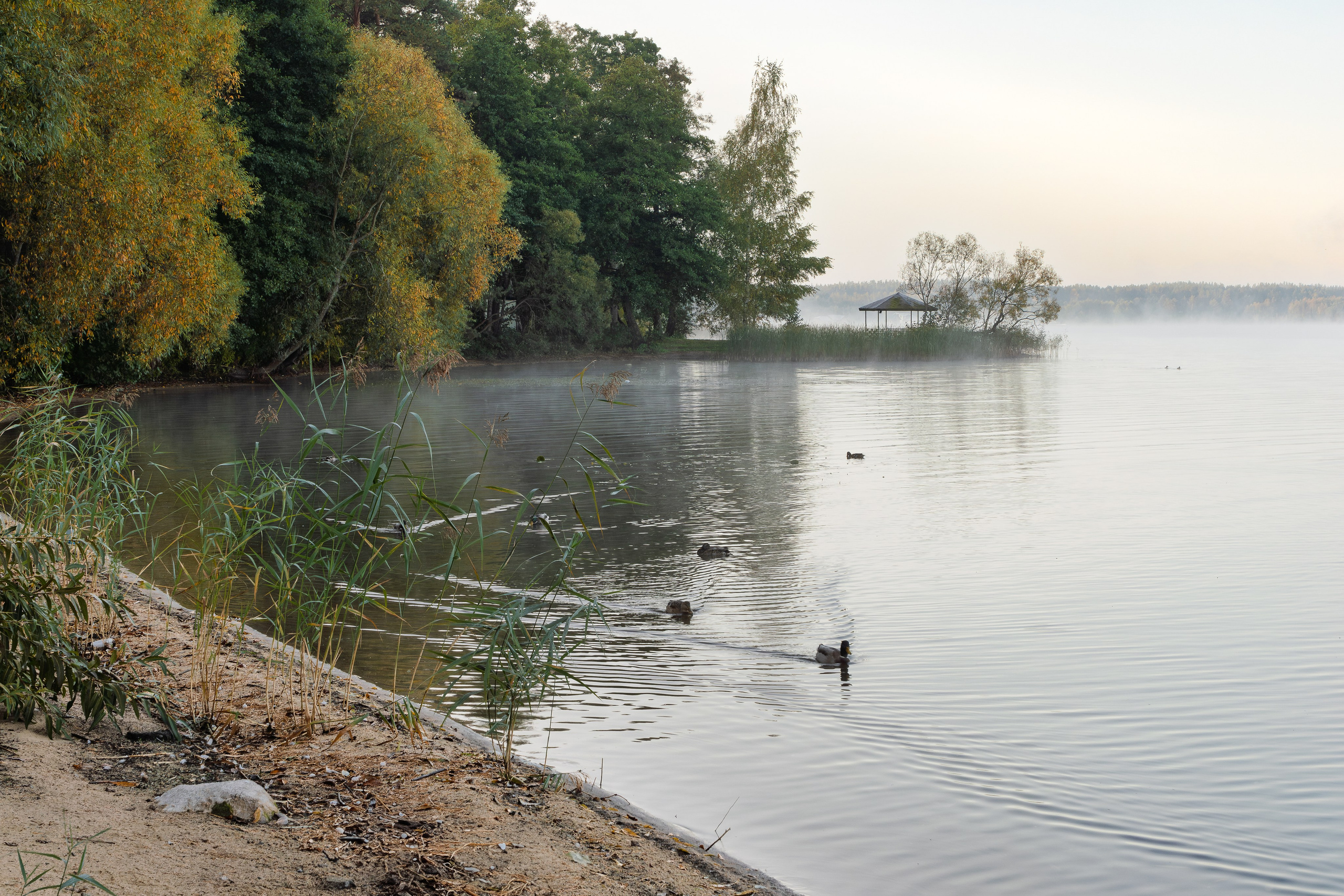 Голубые озера, Псковская область. Октябрь 2024. Фотограф Никифоров-Гордеев Сергей. Москва и МО