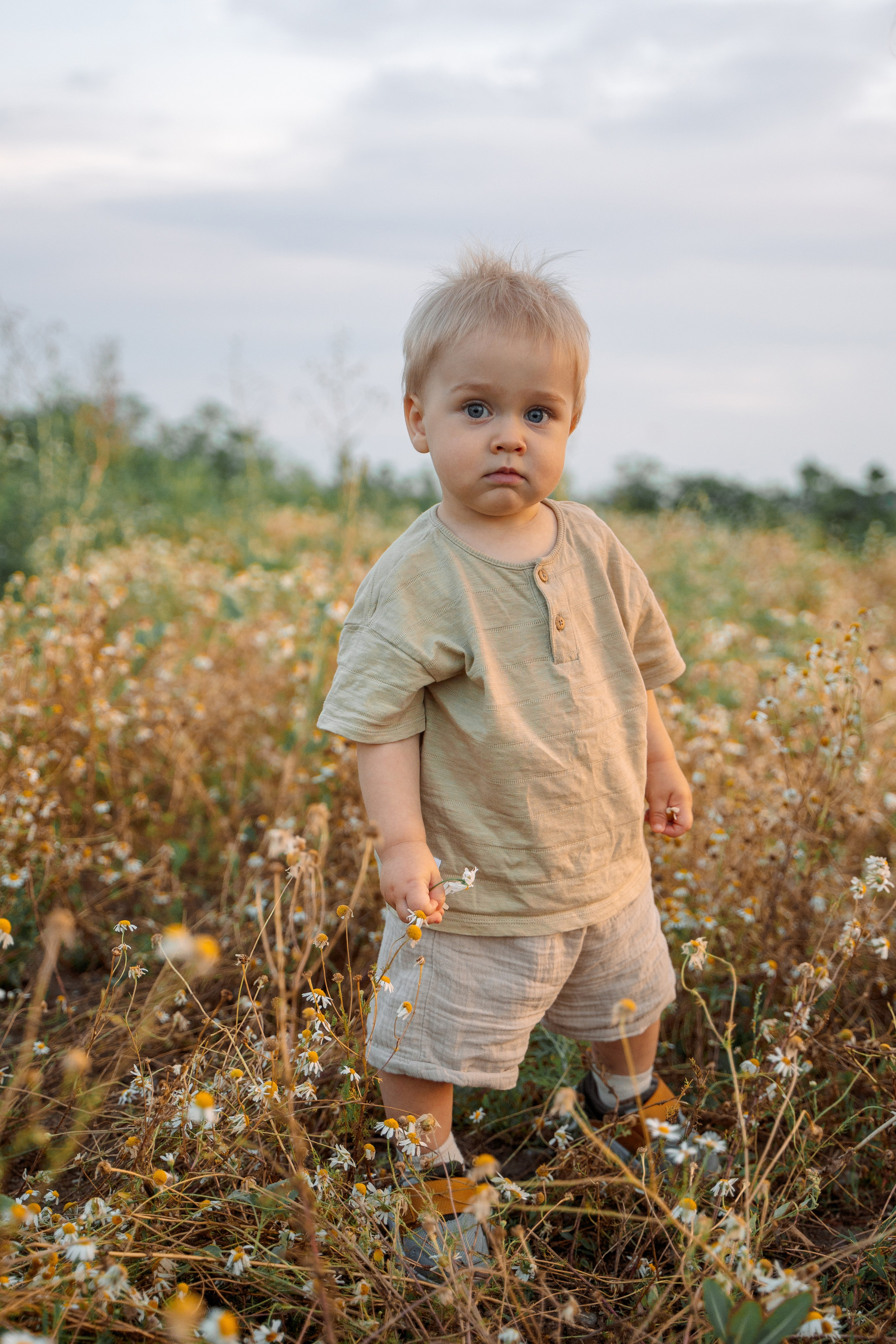 РОМАШКИ. Фотограф Мария Зайчик
