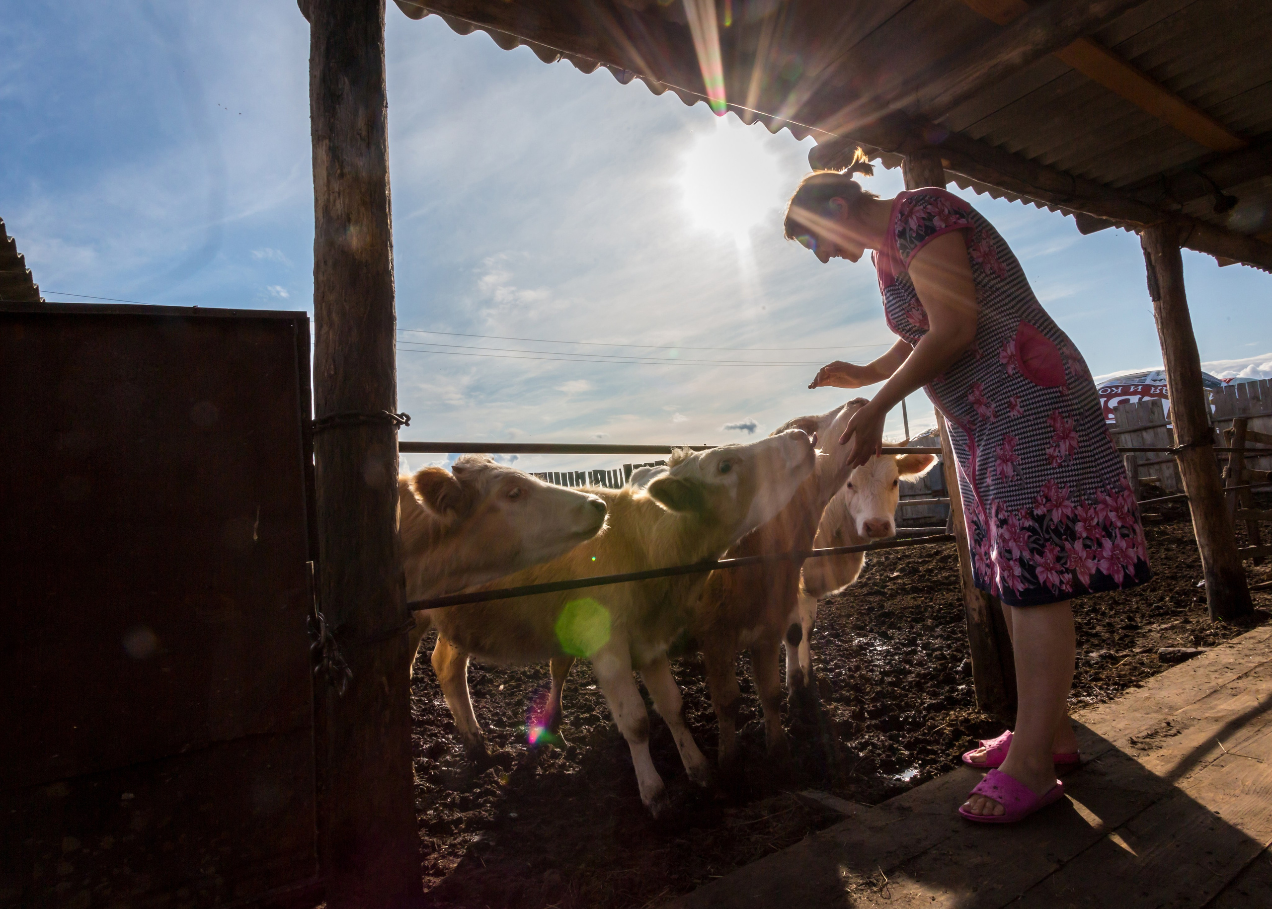ХВАЛЫНСК: ГОРОД НА ДНЕ МОРЯ. Контакты