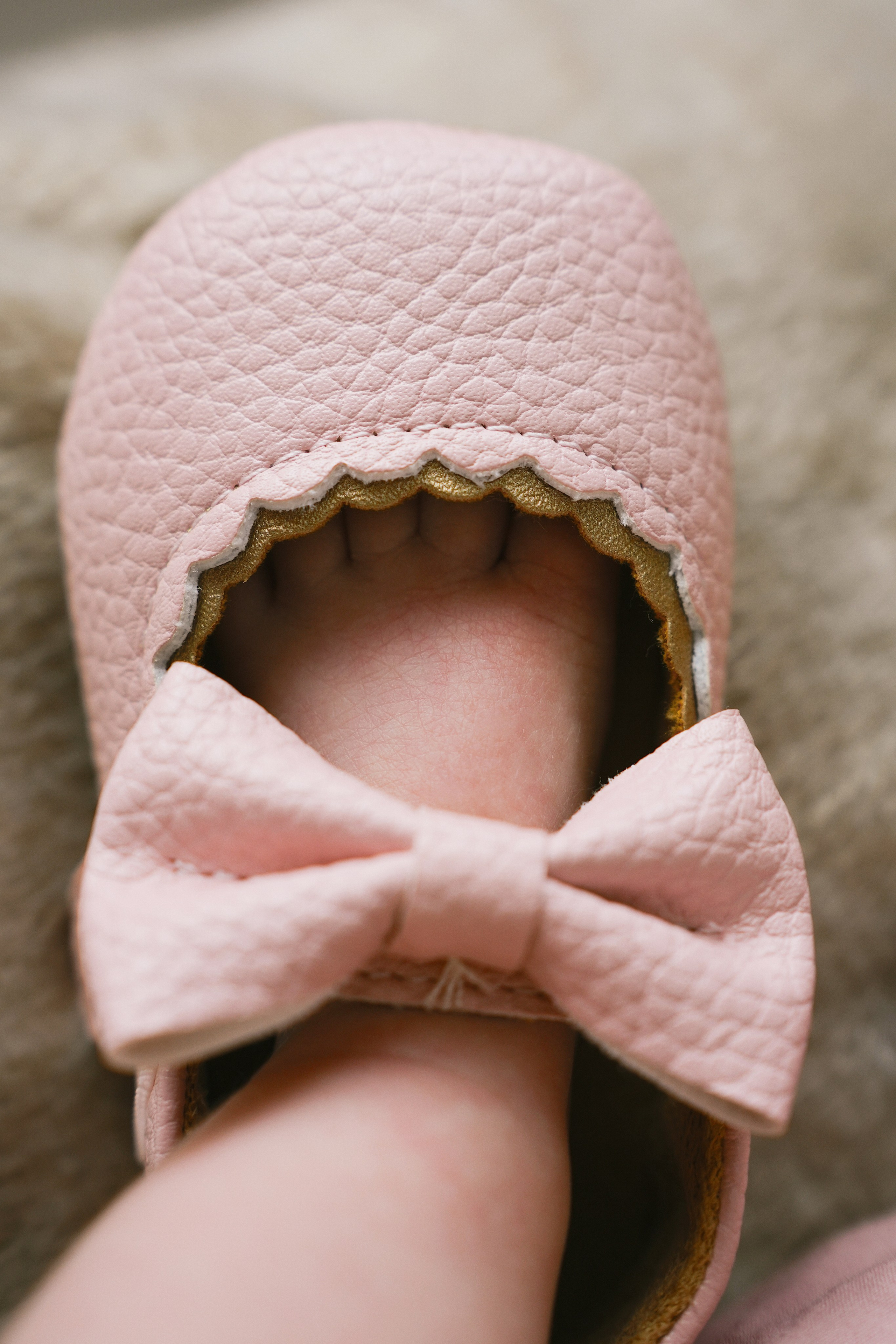 Маленькая Амелия и ее большая семья. Главная