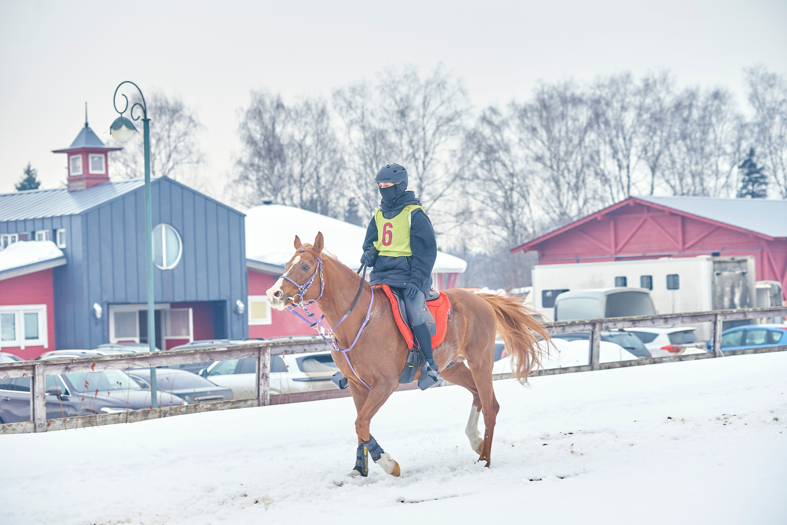 HORSE RACING. Фотограф Наталья Леонова