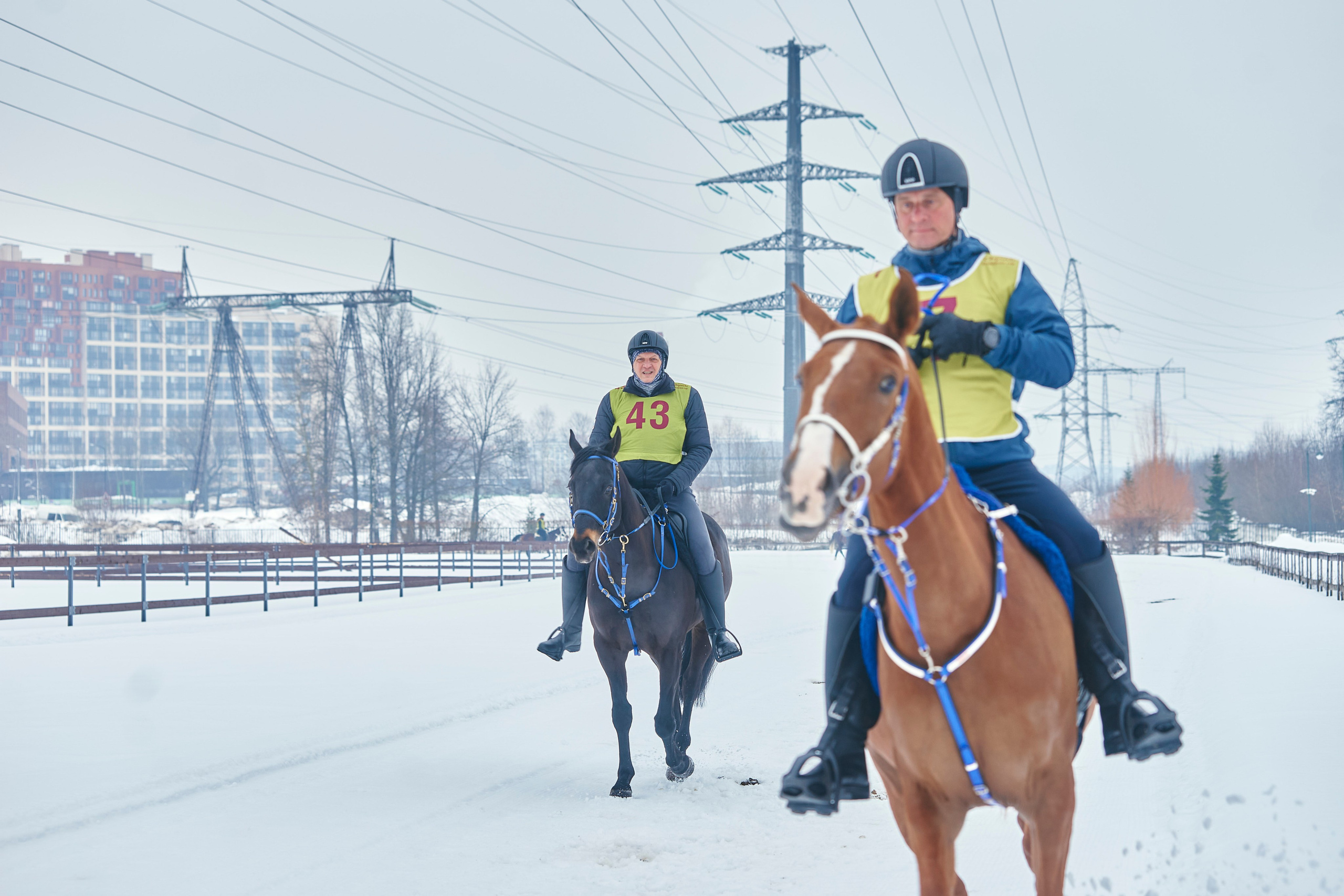 HORSE RACING. Фотограф Наталья Леонова