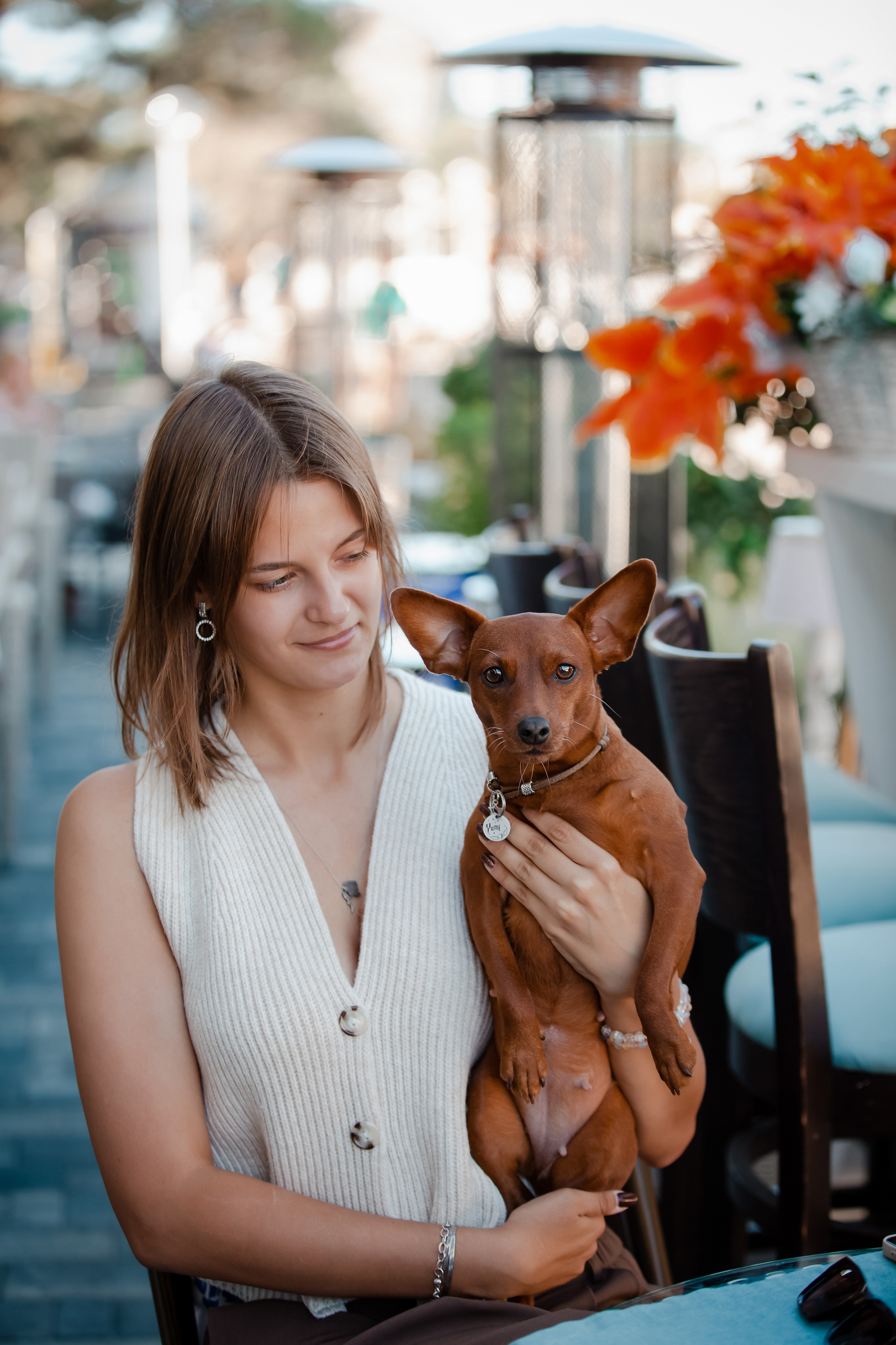 Цвергпинчер в Геленджике. Фотограф-анималист в Краснодаре Маша Мельникова