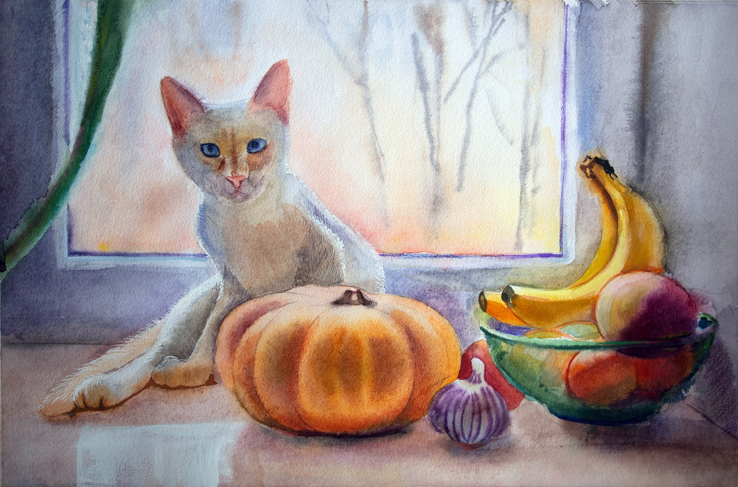 кот на окне