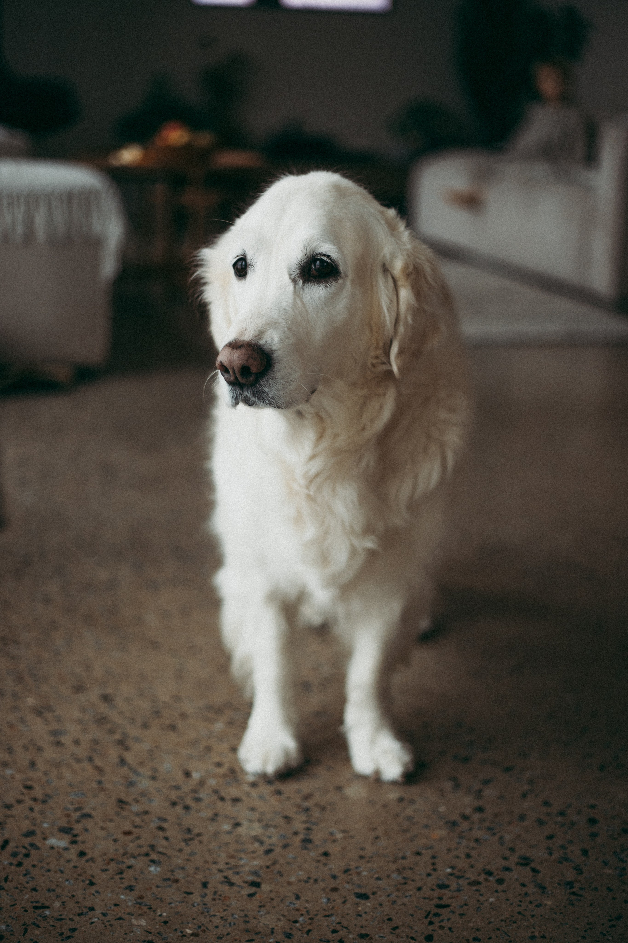 Татьяна, Миша и Гриша. Фотограф Москва и Санкт-Петербург