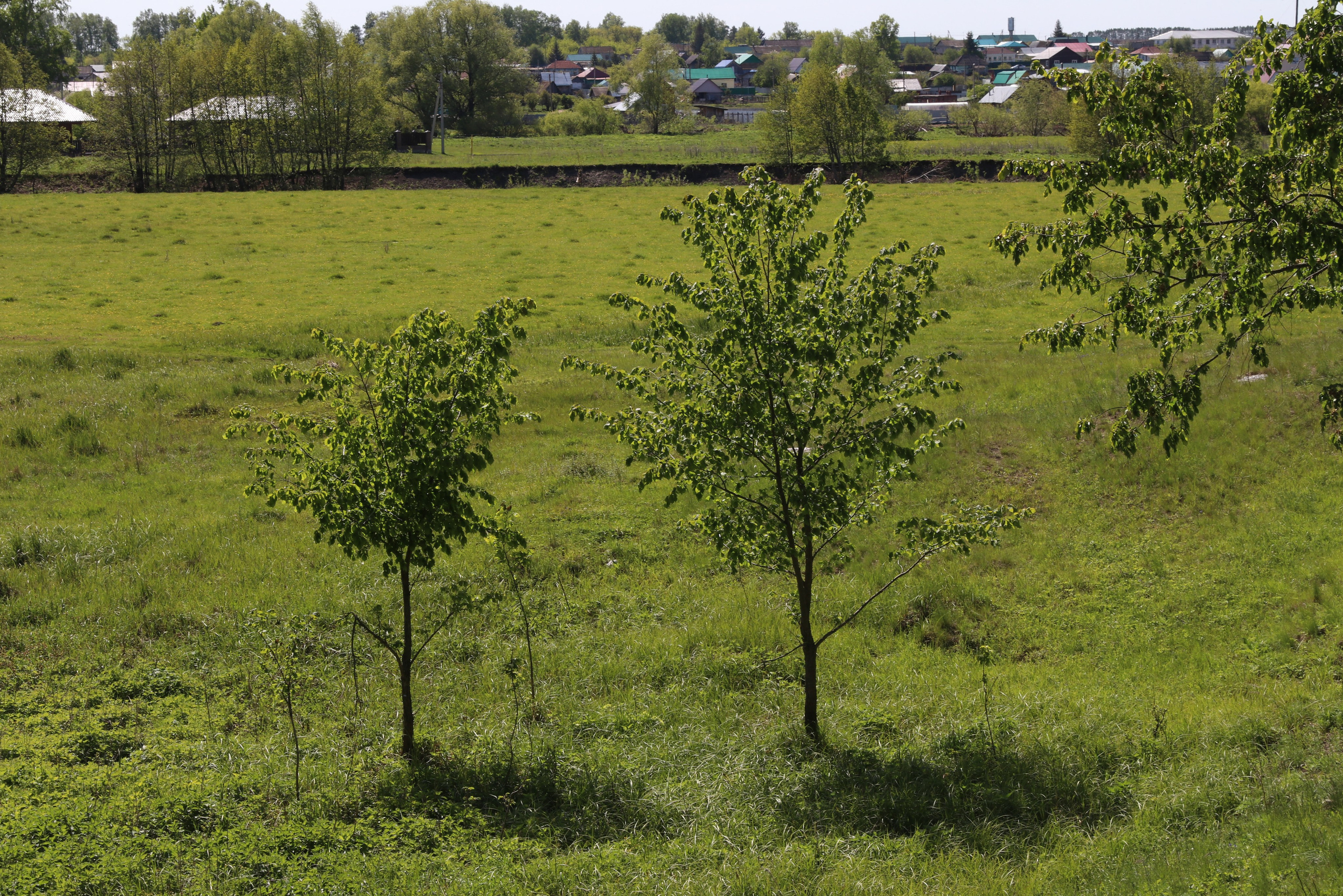 Велопоход Уфа — Мелеуз. Май 2024. Путешественник-фотограф из Санкт-Петербурга Татьяна Свистулина