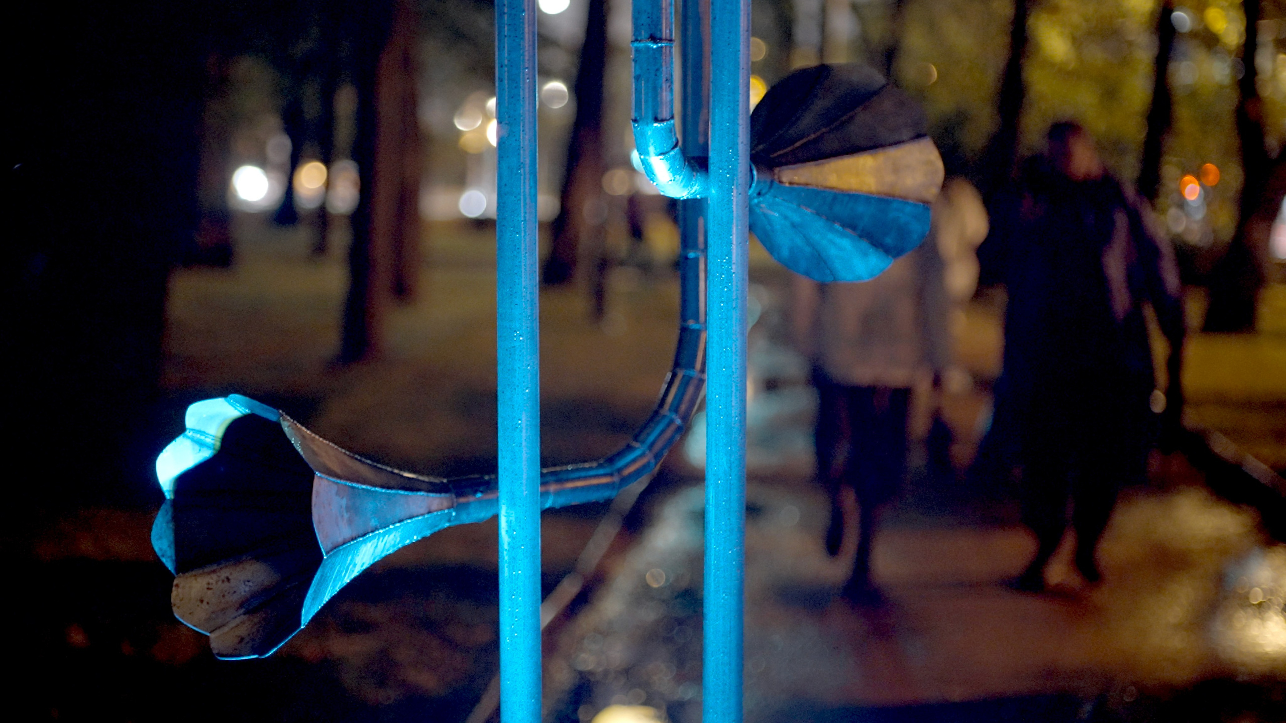 Обратная сторона дворца. Aleksandra Mikhailova multimedia artist