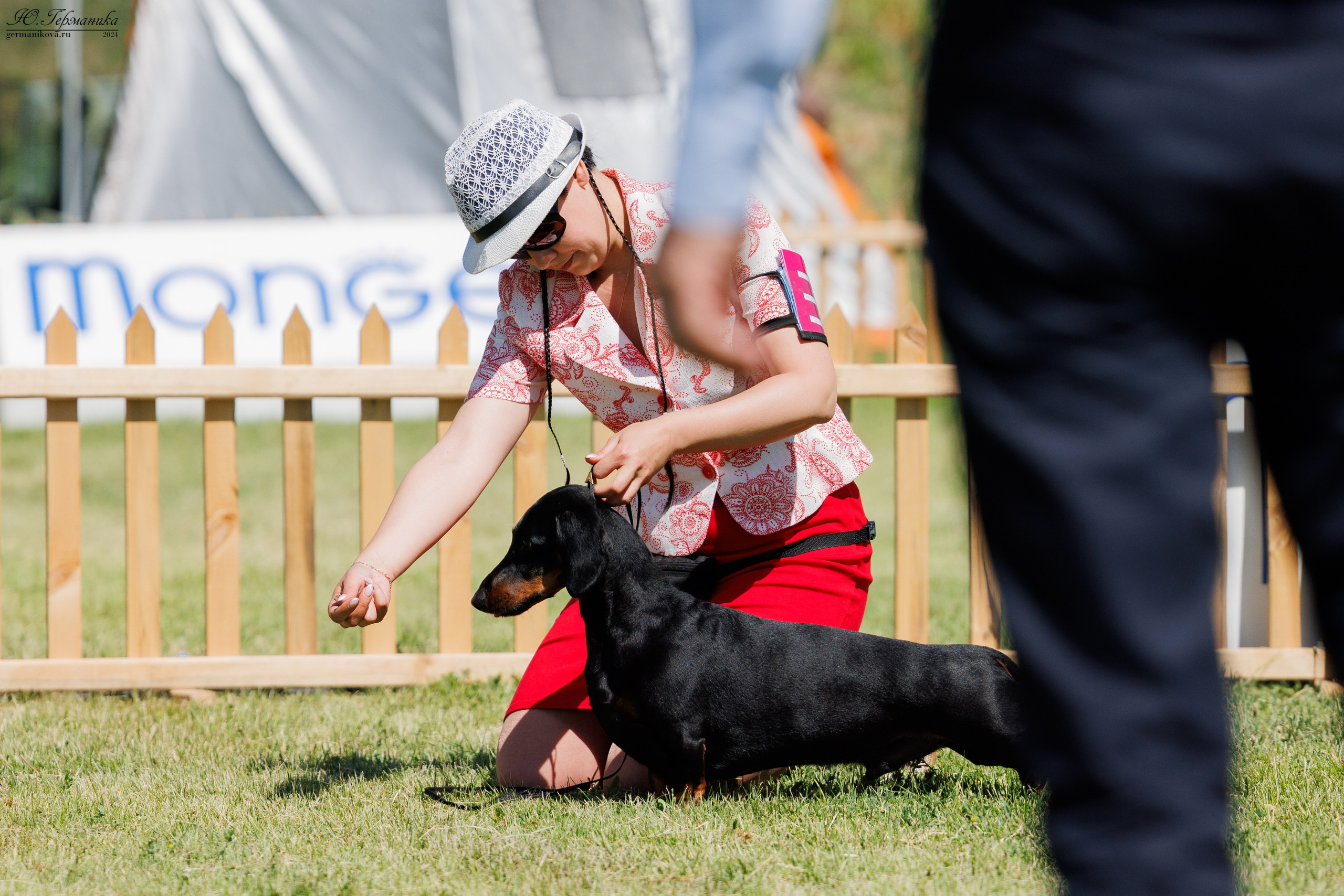 Ереван 3-5.06.2024. Фотограф-анималист Юлия Германика