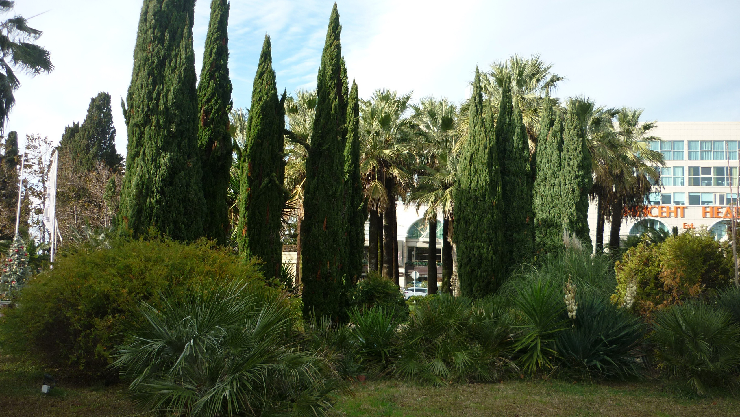 Фотографии Сочи, глазами гида-фотографа. Фотограф в Сочи Елена Лисотина. Фототуры в Сочи