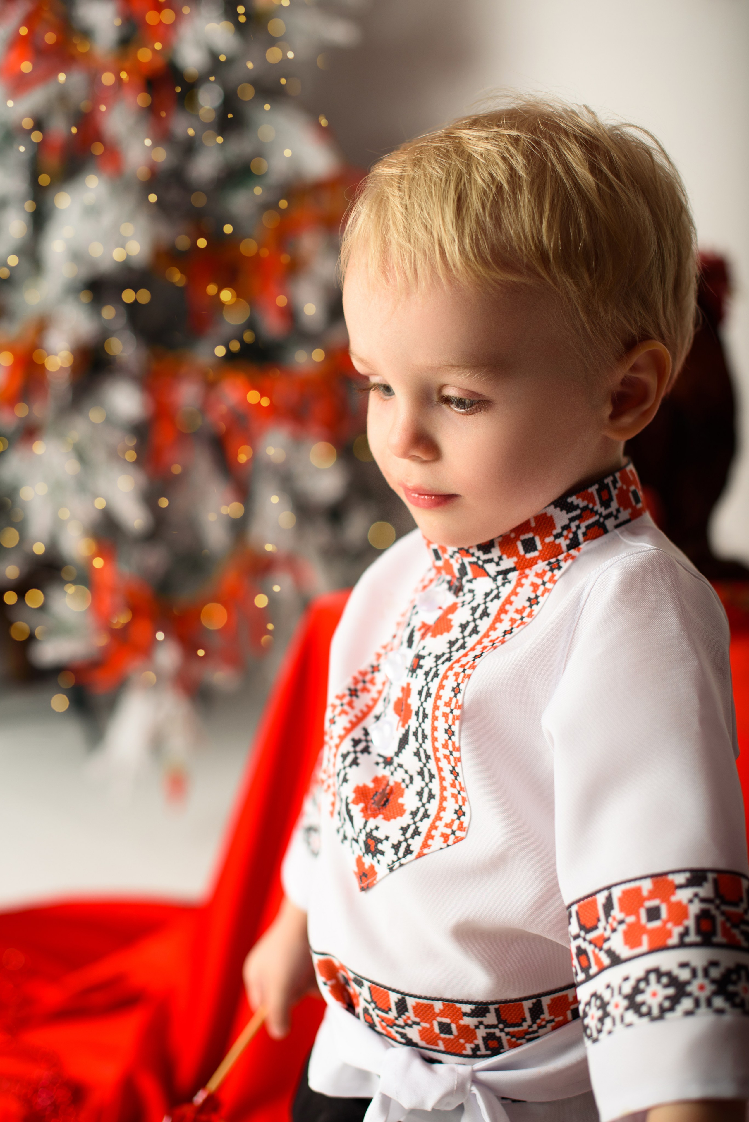 Новый год. Фотограф новорожденных и беременности Сергиев Посад Усачева Ирина