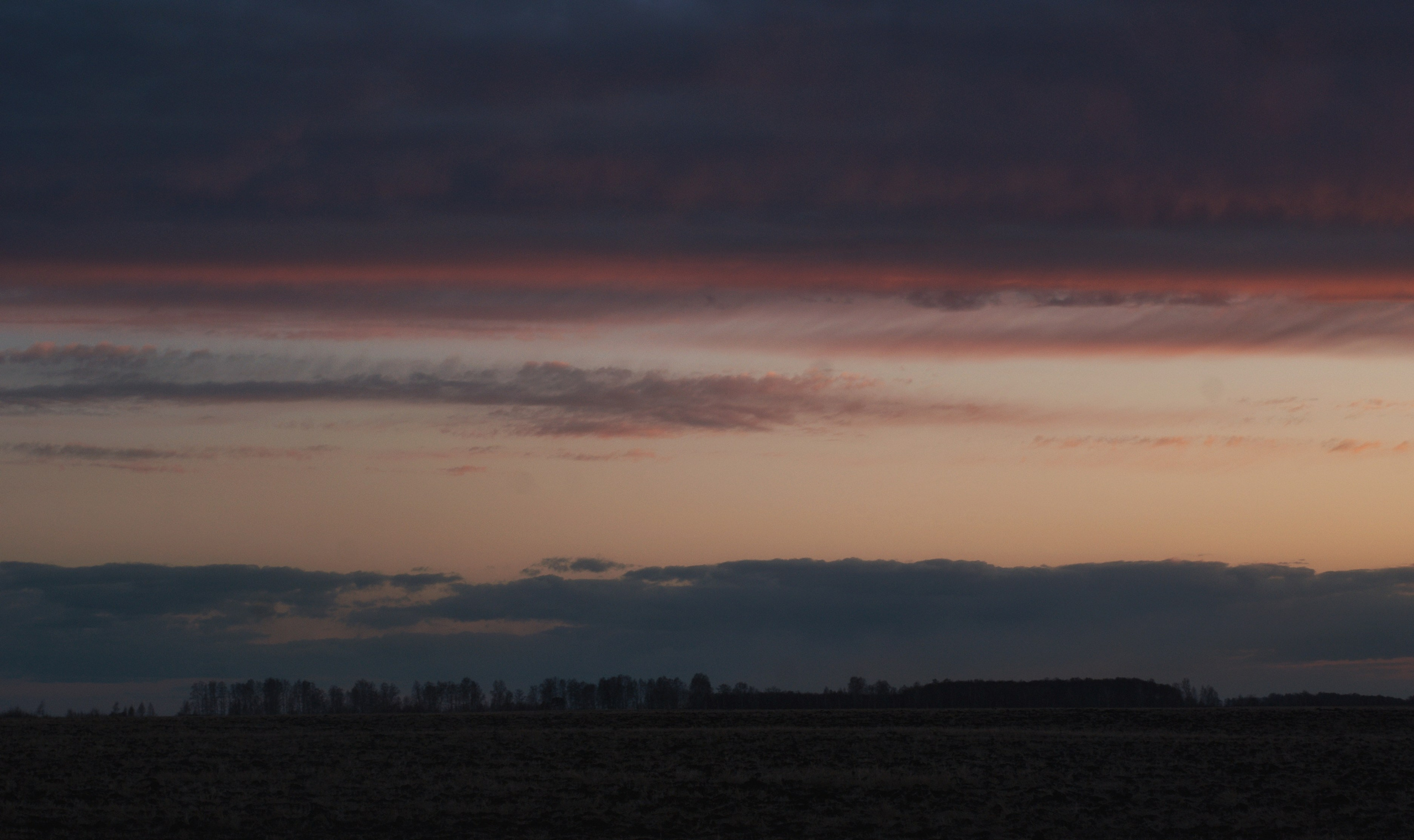 Этот прекрасный мир