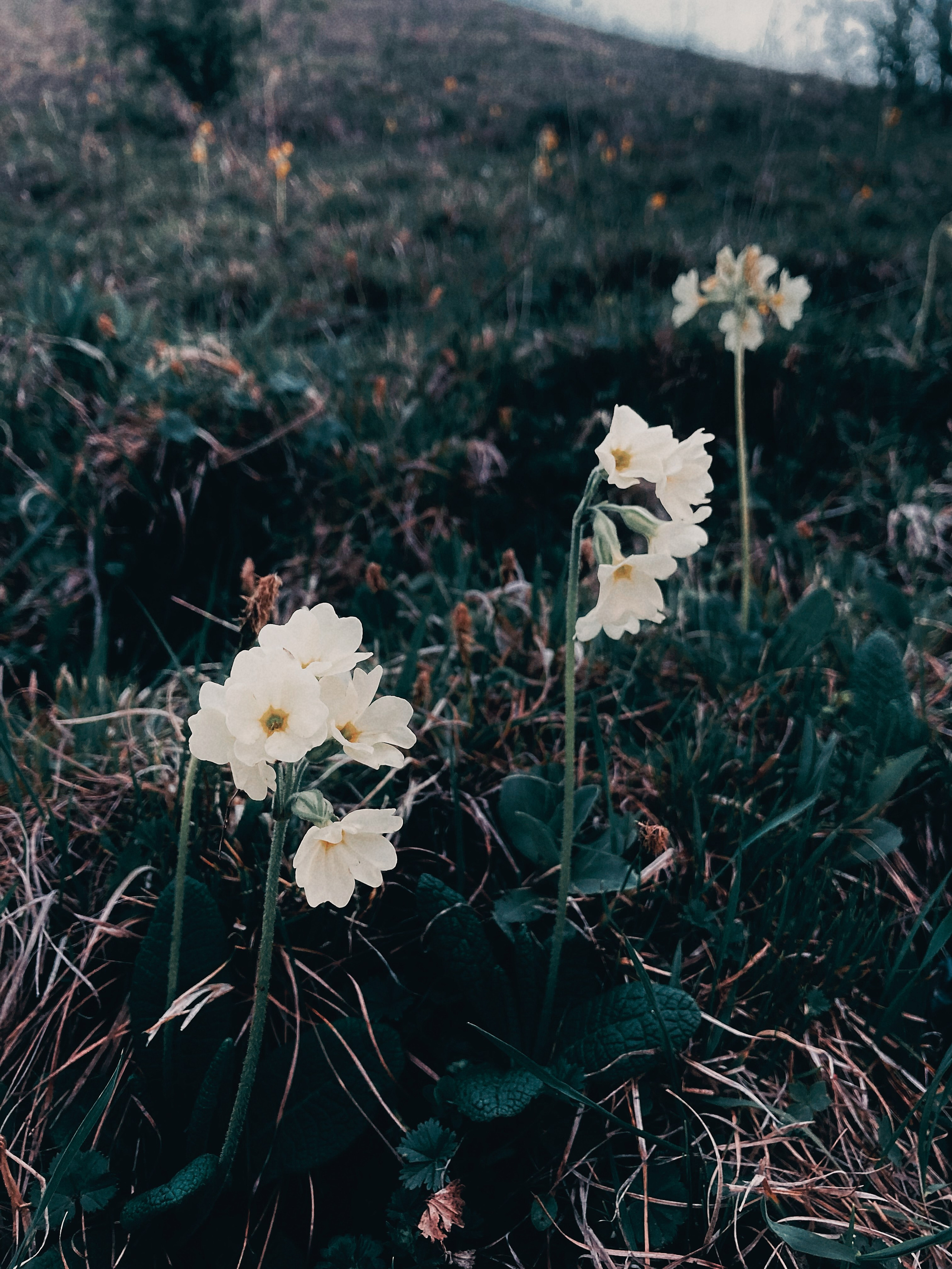 Флора и фауна. Смотри, красота!