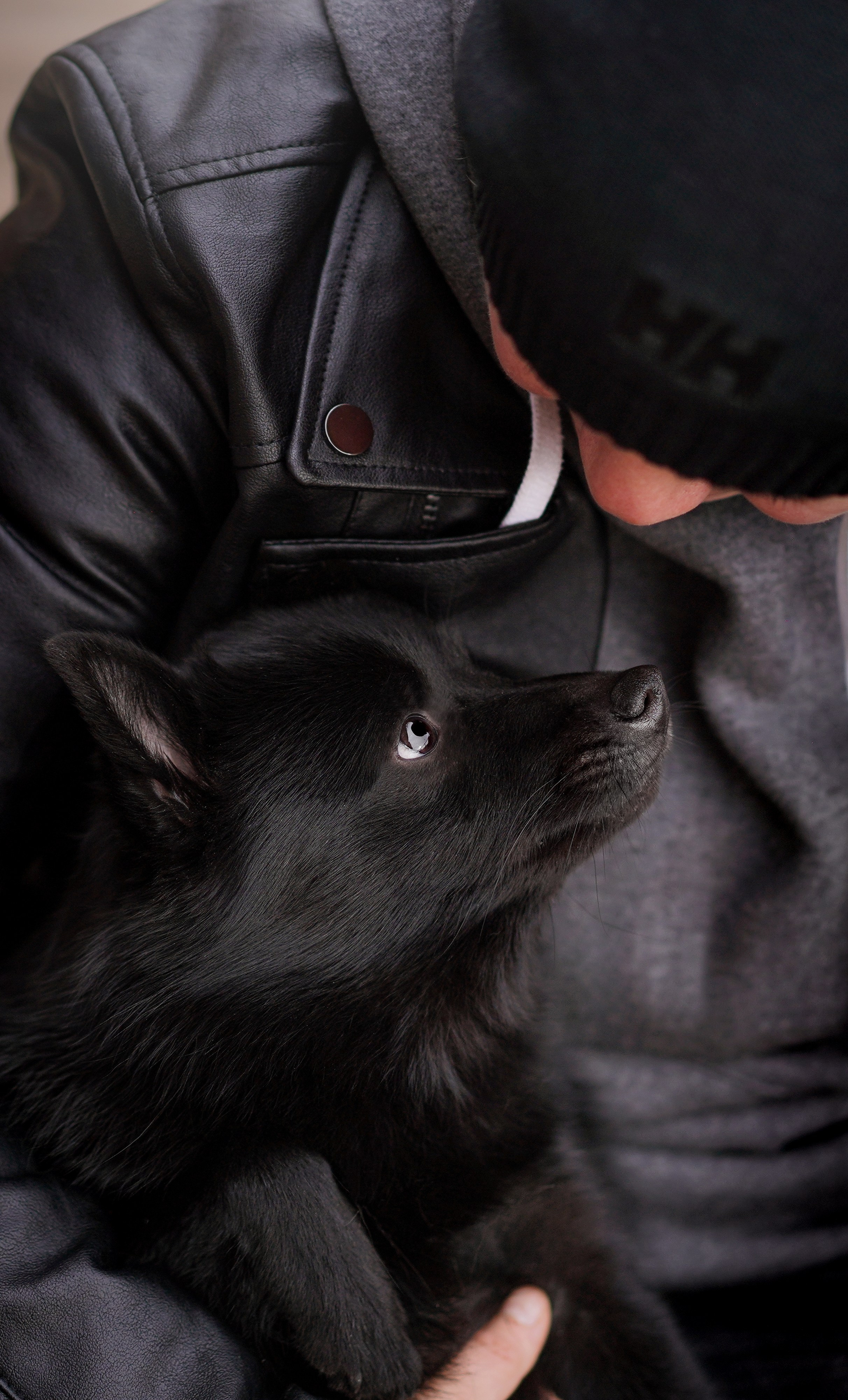 Аня Арчи и Мишель. Фотограф-анималист в Санкт-Петербурге Яна Мартынова