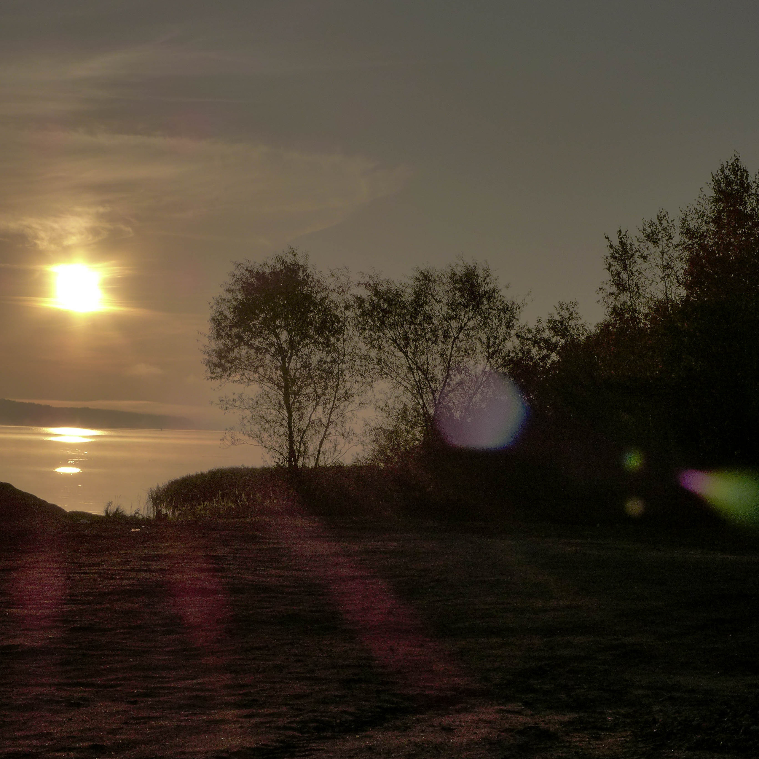 Услуги. Сергей Рыбин Фотограф в Кинешме Детский, Портретный, Свадебный…