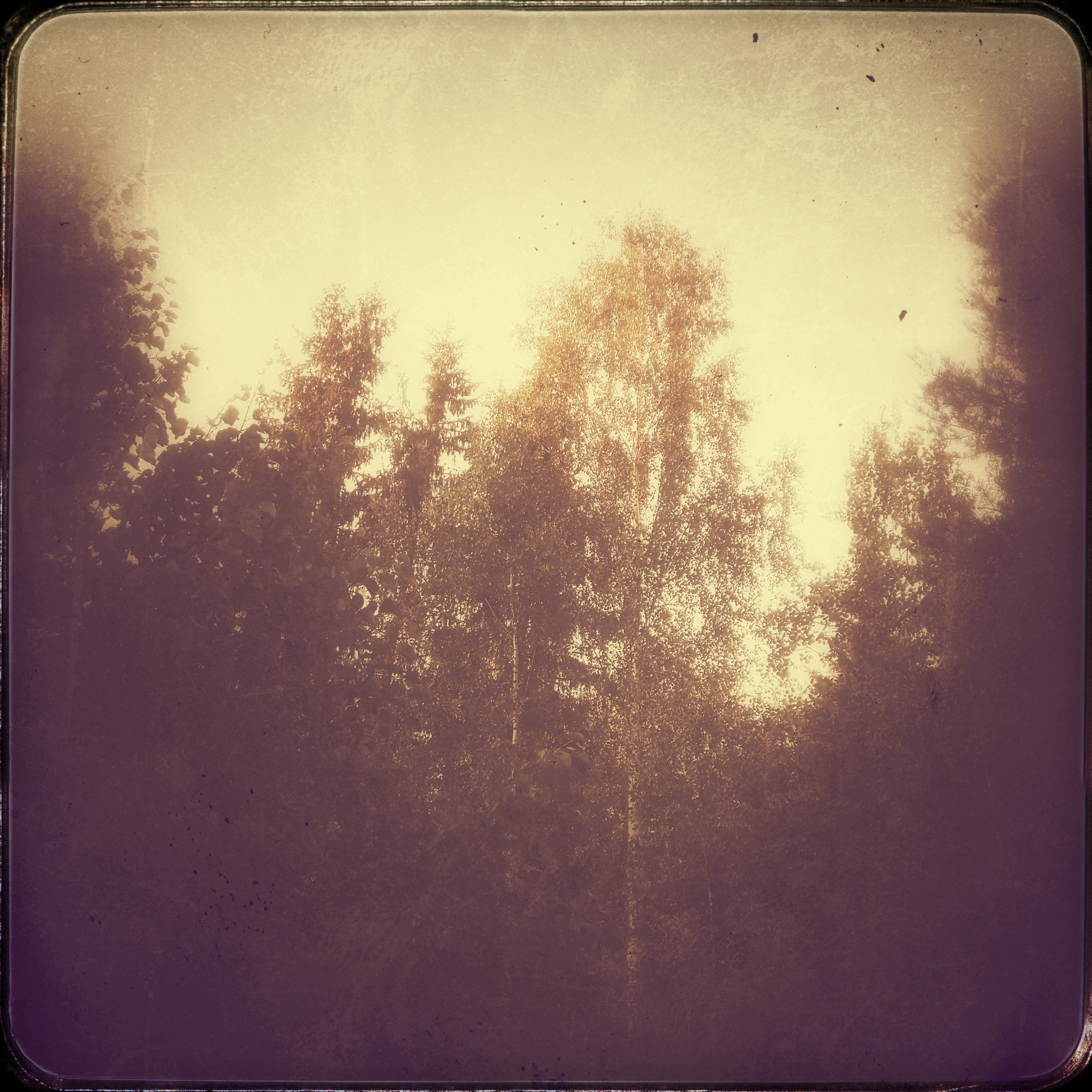 Услуги. Сергей Рыбин Фотограф в Кинешме Детский, Портретный, Свадебный…