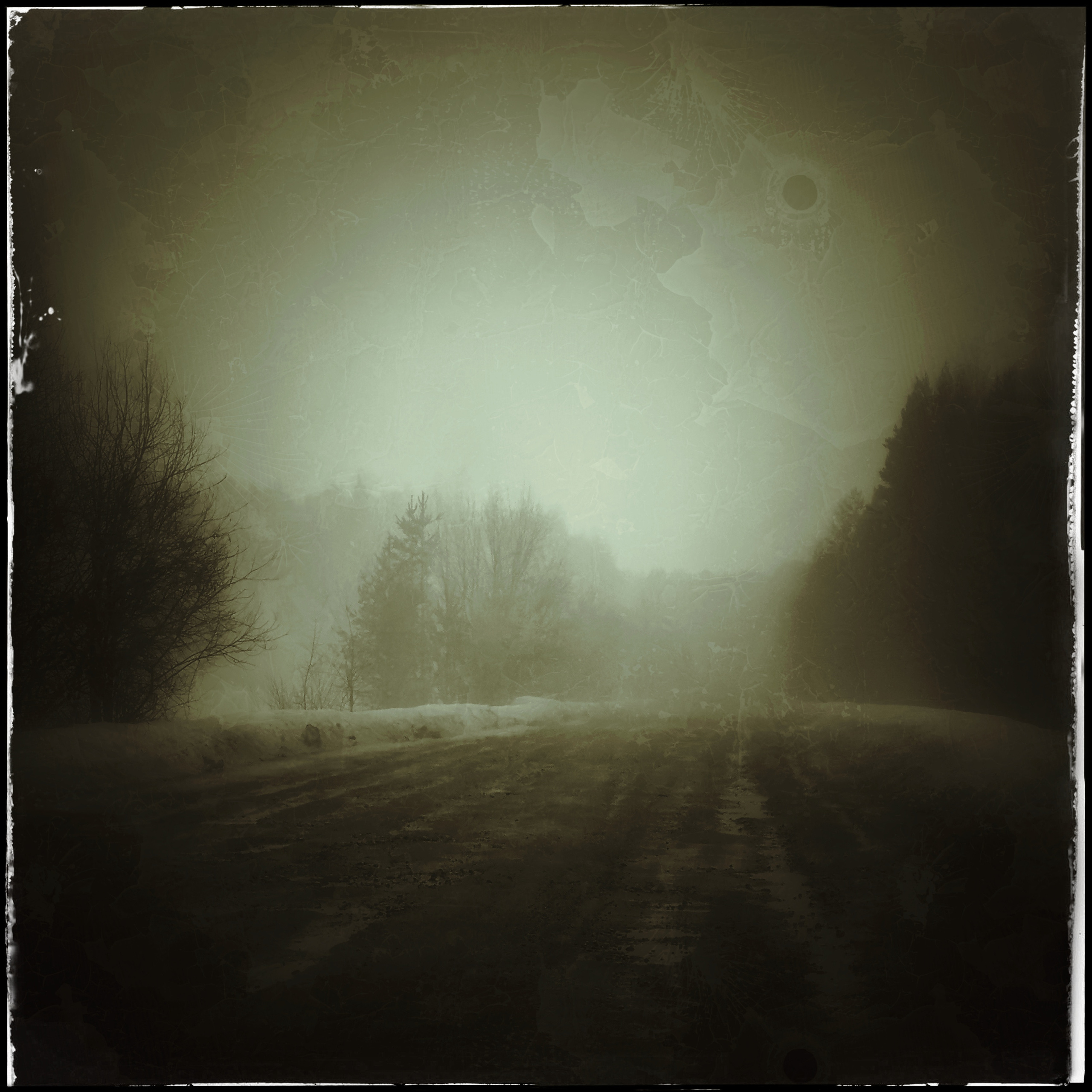 Услуги. Сергей Рыбин Фотограф в Кинешме Детский, Портретный, Свадебный…