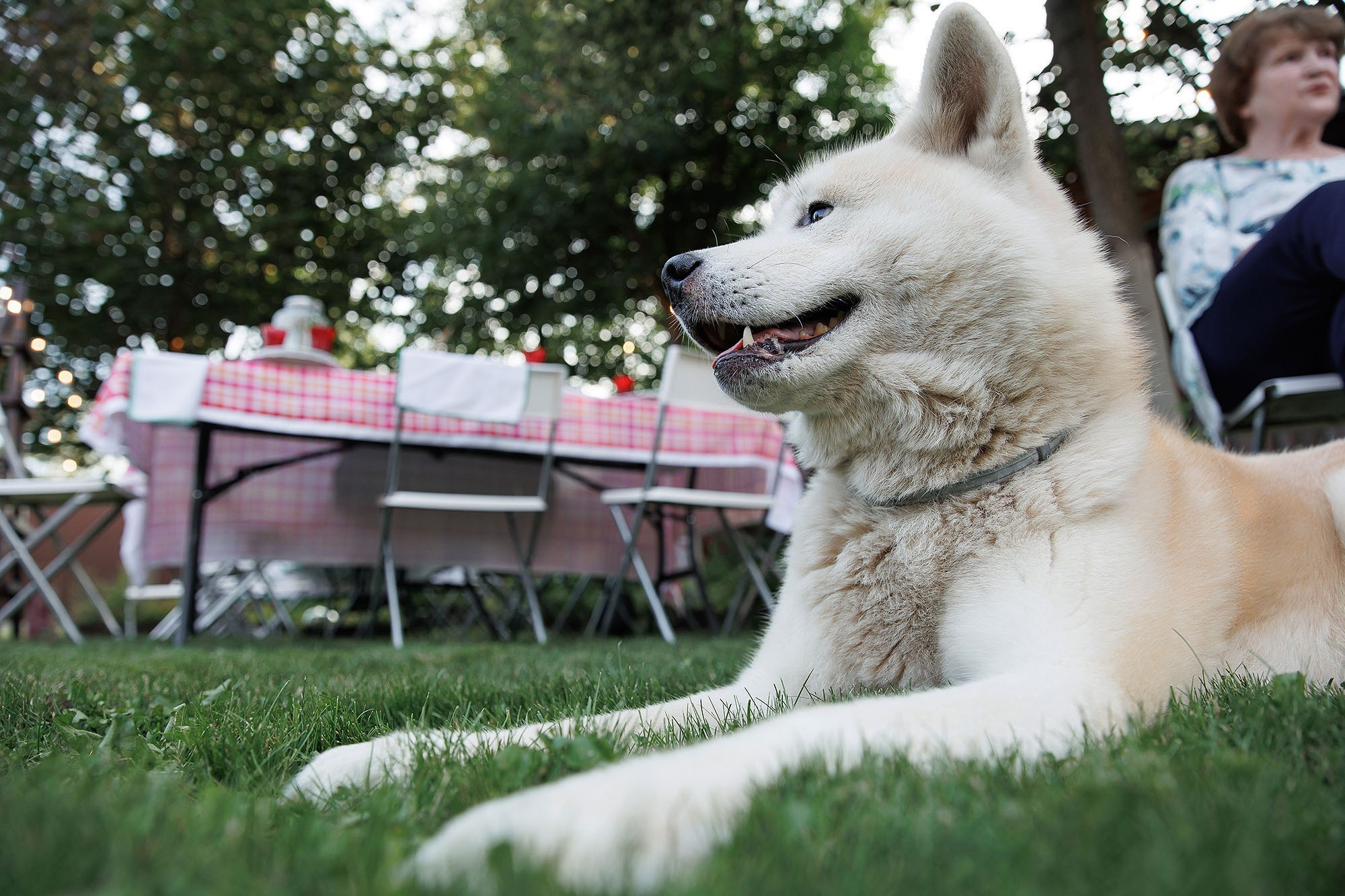 Фотосессия на юбилей или день рождения. Фотограф в Москве Валерий Боцман