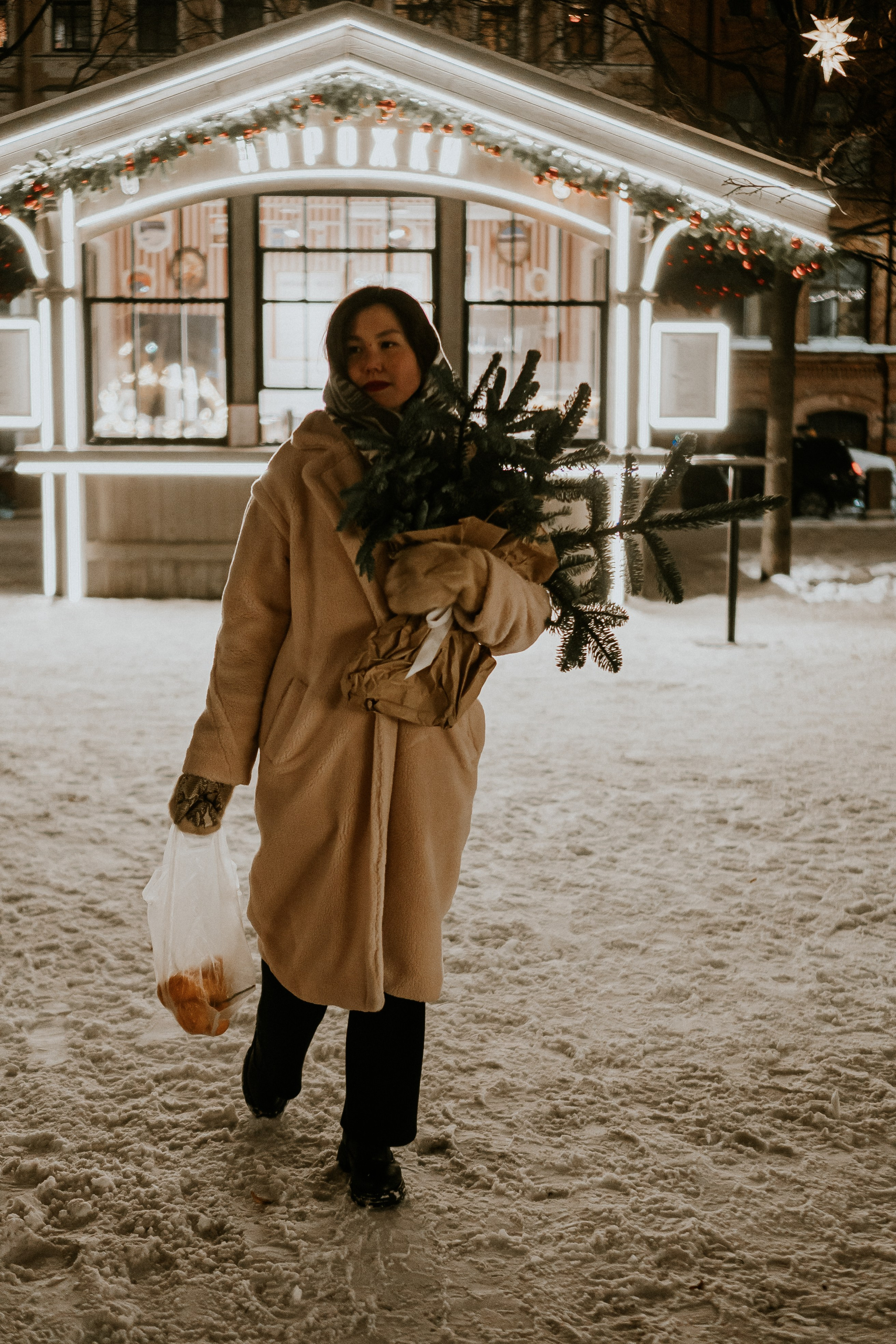 Зимняя сказка в Новой Голандии. Профессиональный фотограф, Санкт-Петербург — Виктория Богомолова
