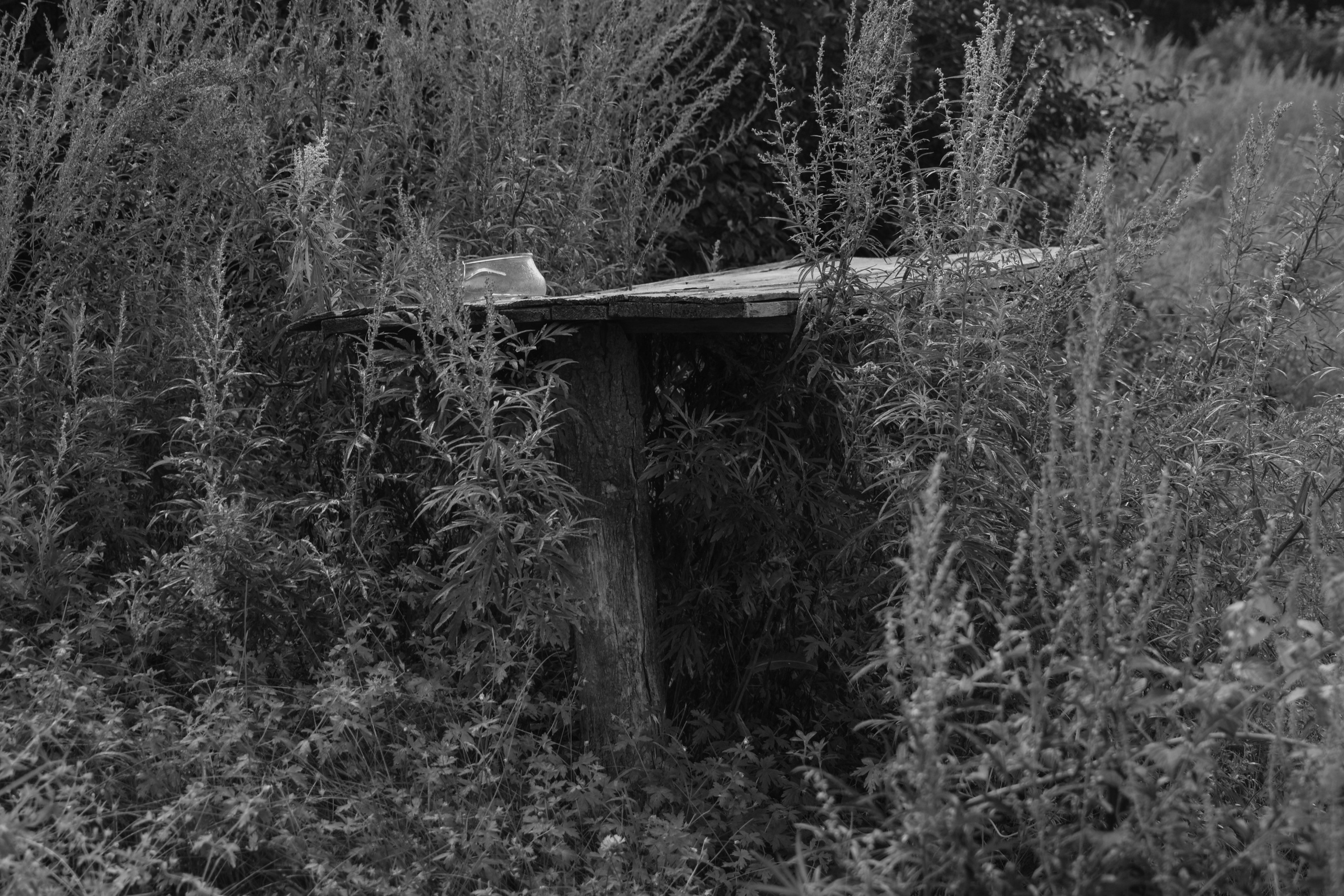 Abandoned. Портретный фотограф во Владивостоке Елена Шкурко