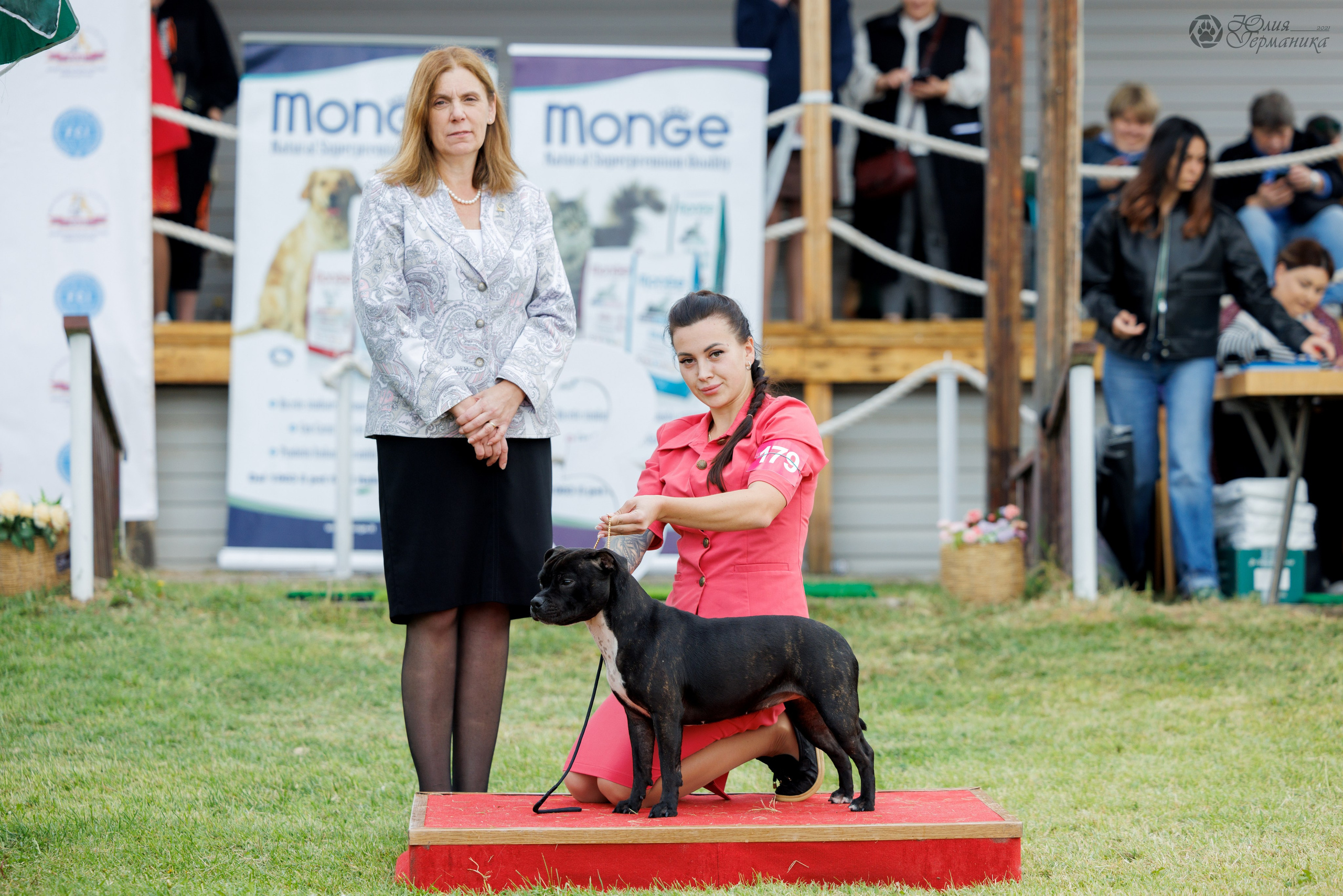 Армения,Ереван 3хCACIB 15-17.10.2024. Фотограф-анималист Юлия Германика