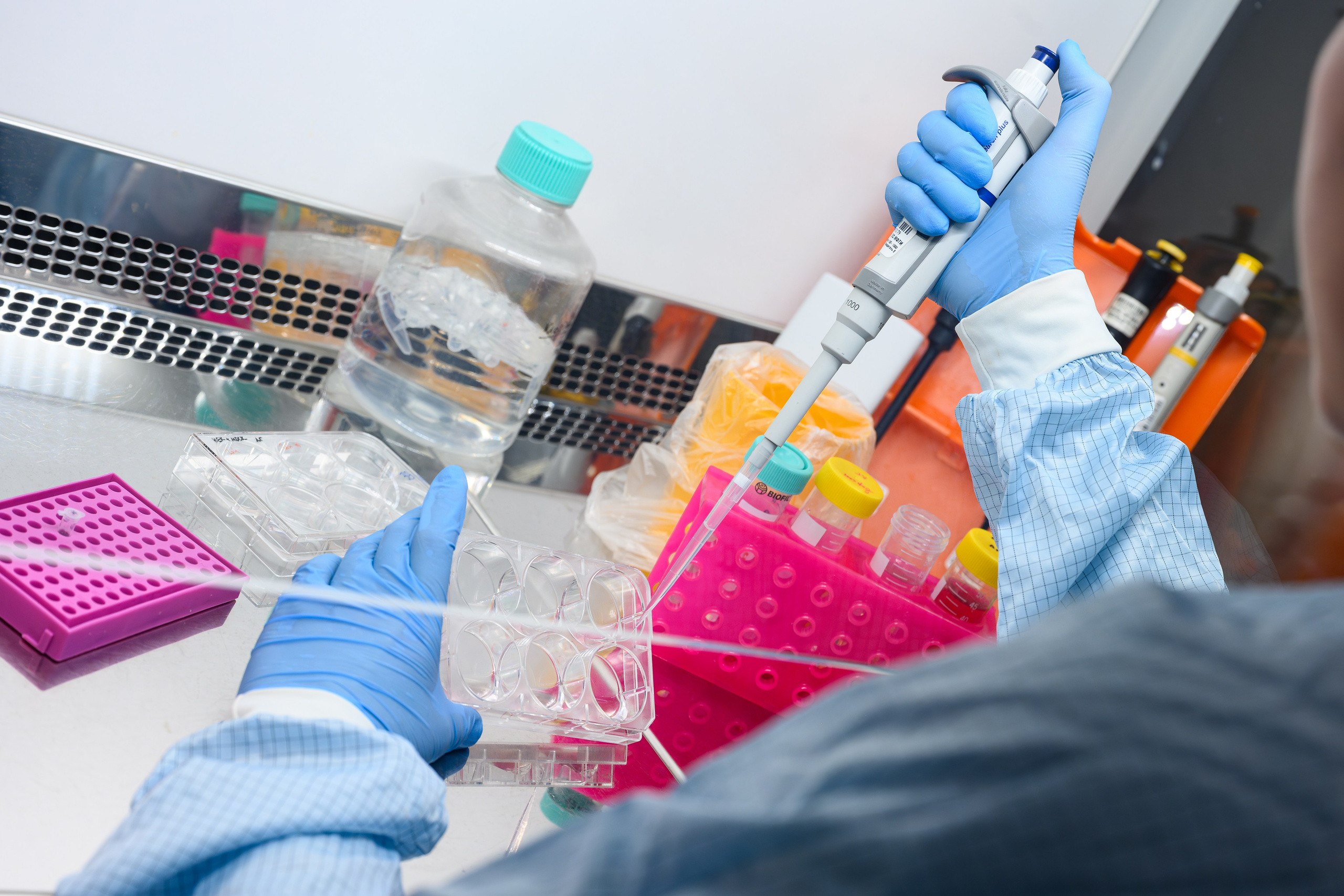 Лаборатории. Арефьева Наталья фотограф в Москве. Студийный фотограф, деловой портрет, репортаж