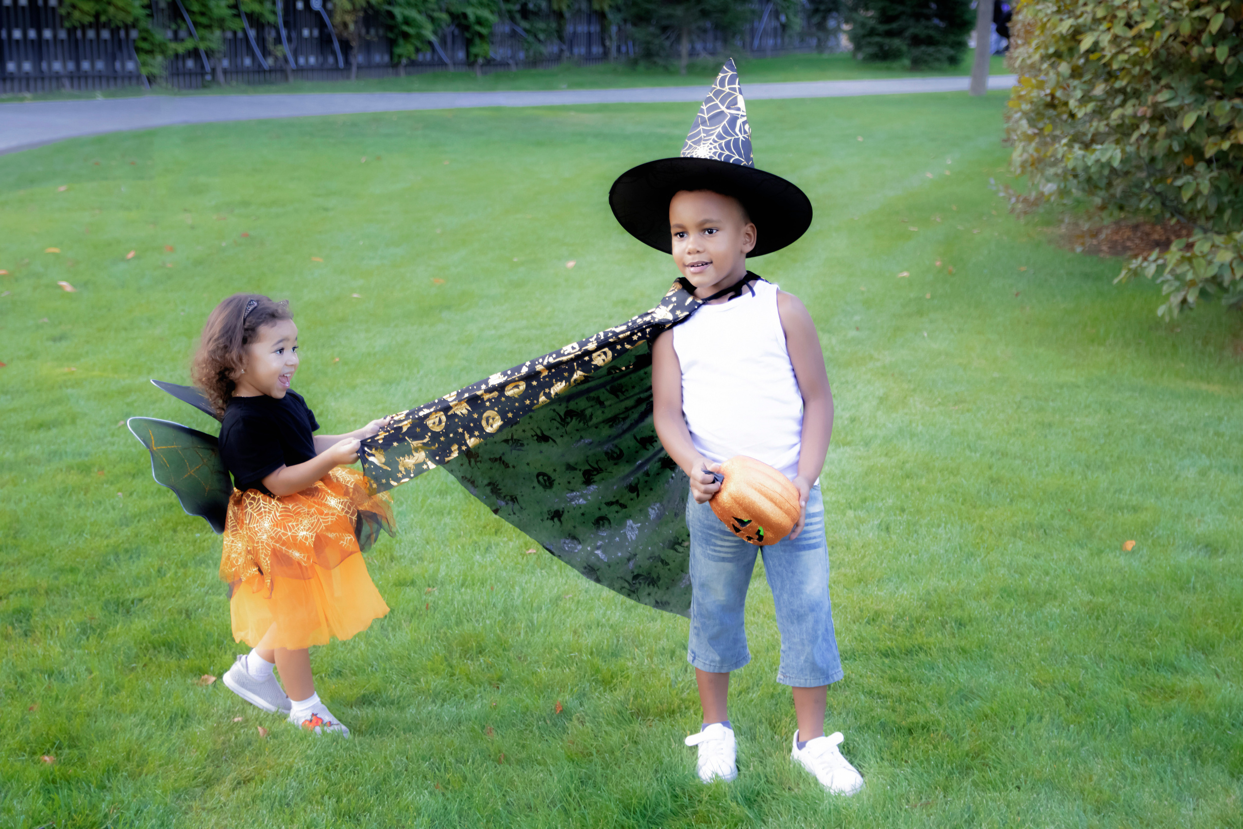 ЭМИЛЬ. Фотограф Людмила Лебединская г. Краснодар (Приморско-Ахтарский р-он)