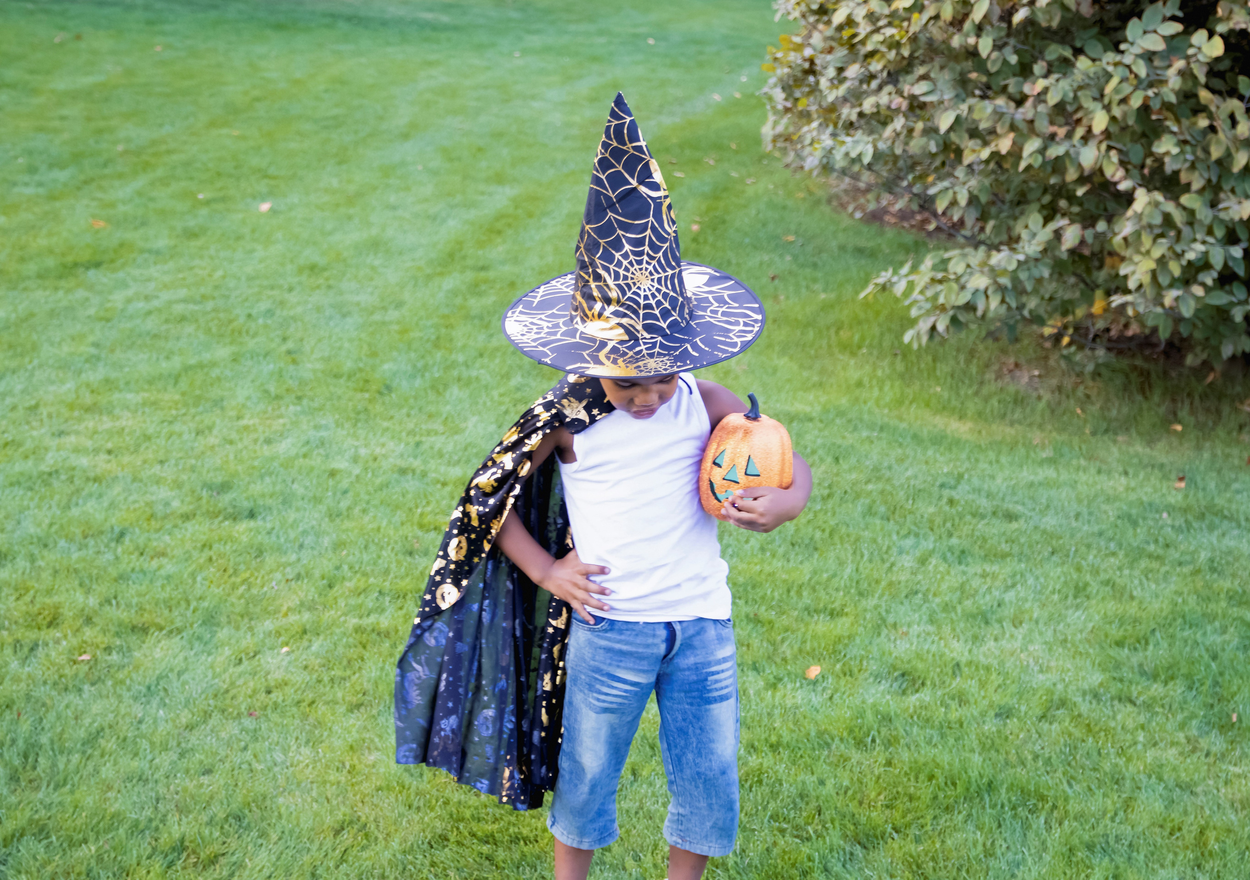 ЭМИЛЬ. Фотограф Людмила Лебединская г. Краснодар (Приморско-Ахтарский р-он)