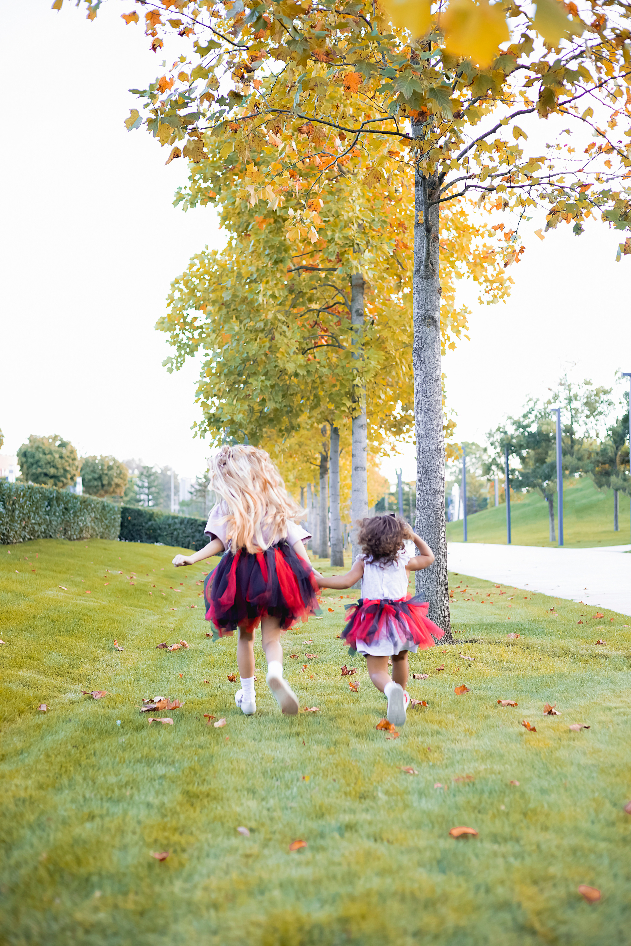 ДЖЕССИКА. Фотограф Людмила Лебединская г. Краснодар (Приморско-Ахтарский р-он)