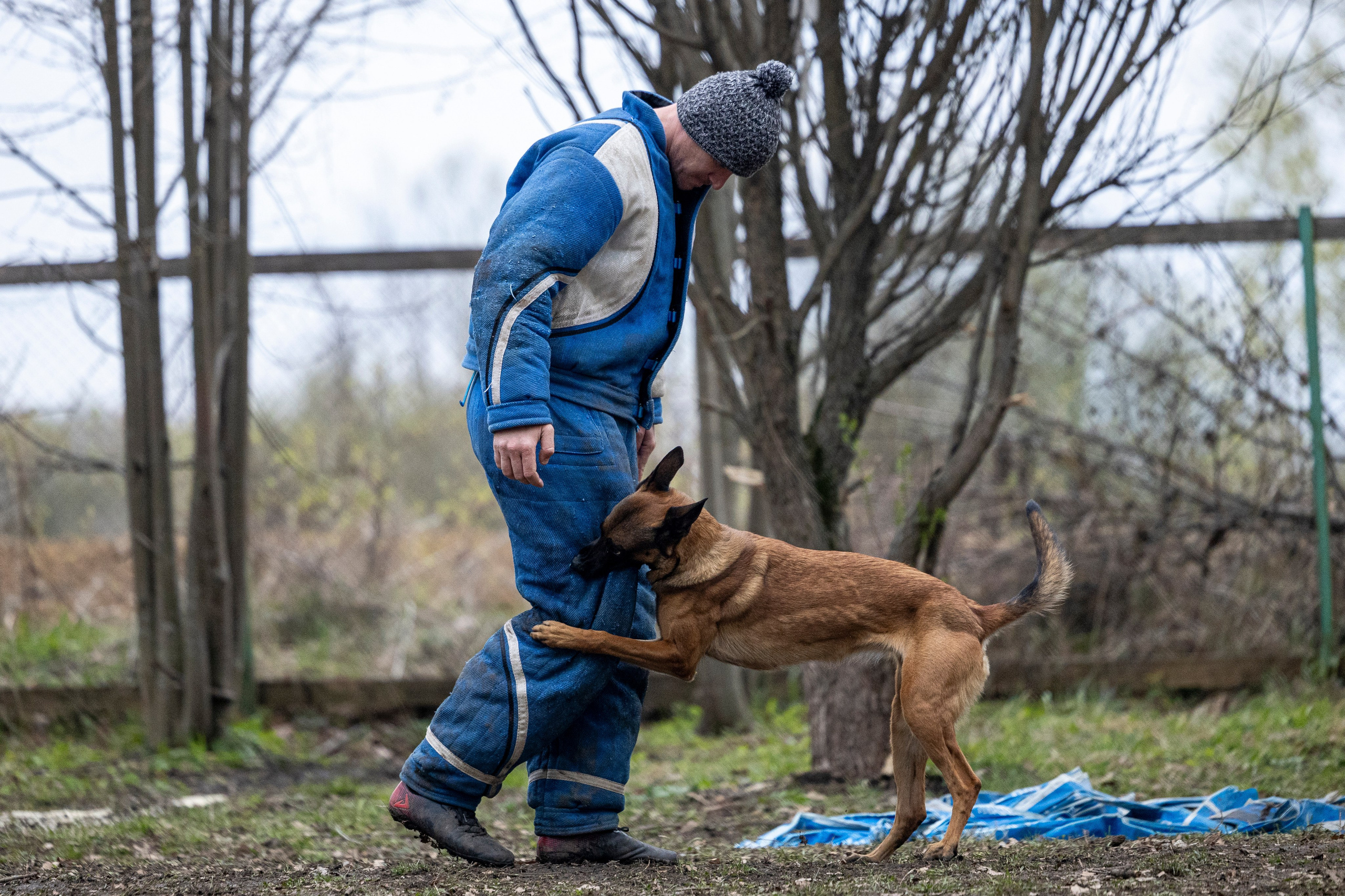 Квалификационные состязания по мондьорингу г. Вологда 11.05.24. Фотограф-анималист Анна Маринич